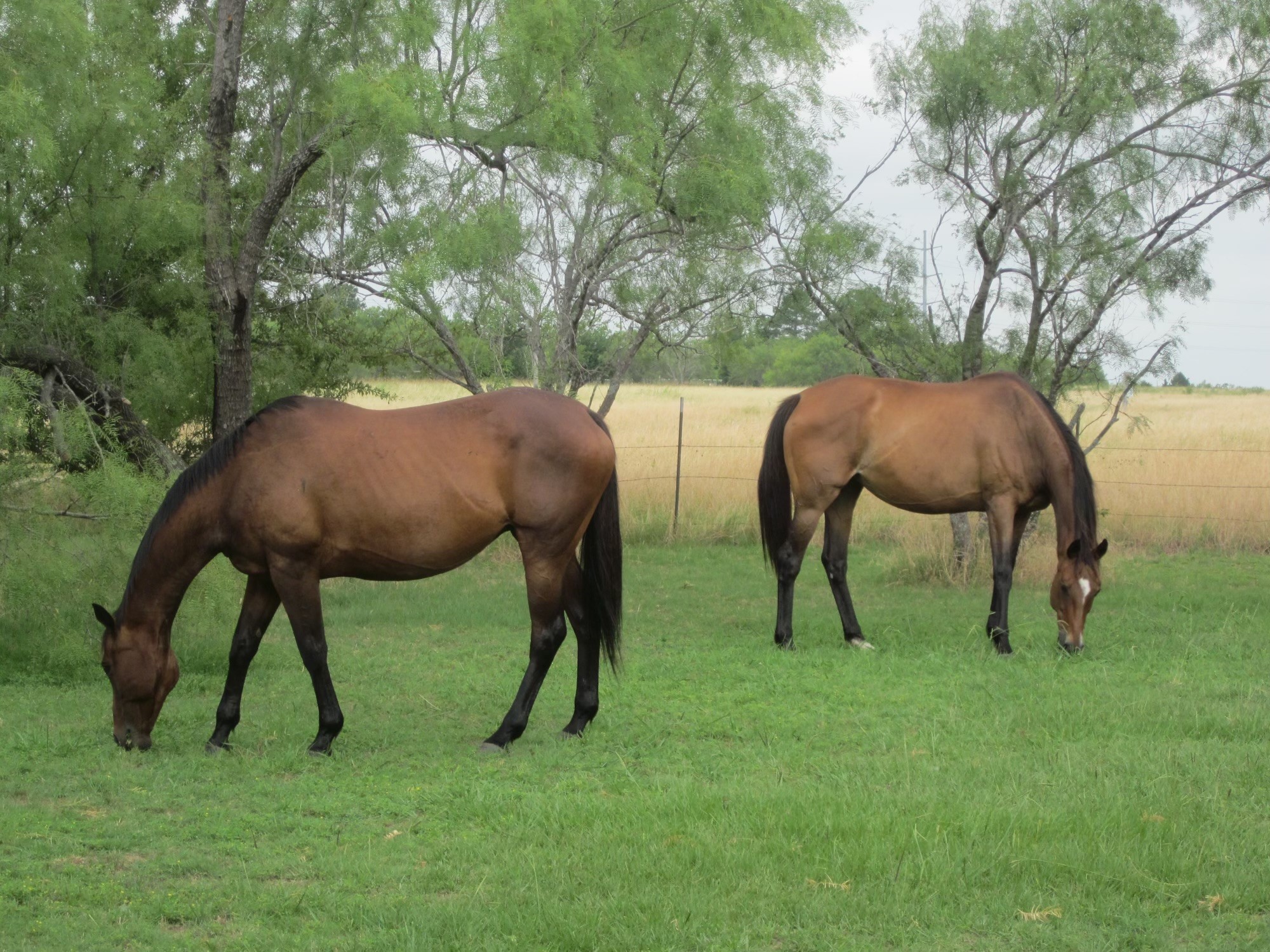 Lot 2 Munson Road S Royse City TX 75189