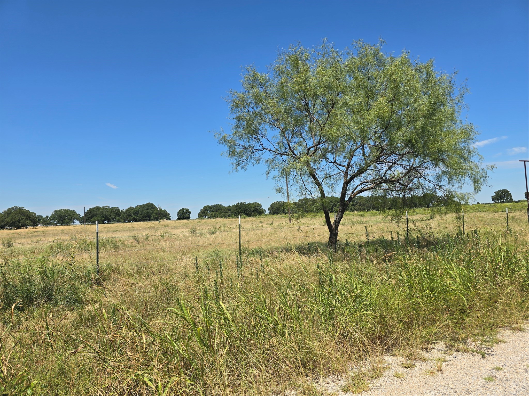 956 Cr-1990 Chico TX 76431