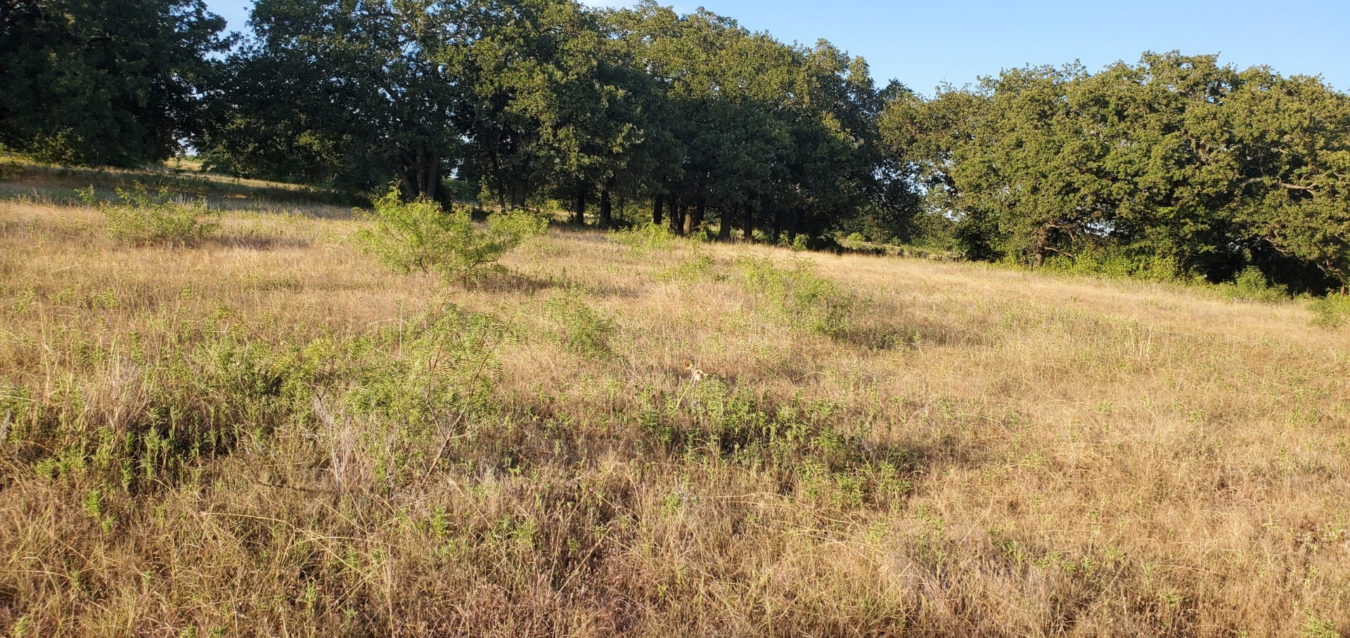 956 Cr-1990 Chico TX 76431