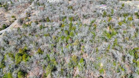 Tbd Lot 8 Fcr 540 Fairfield TX 75840