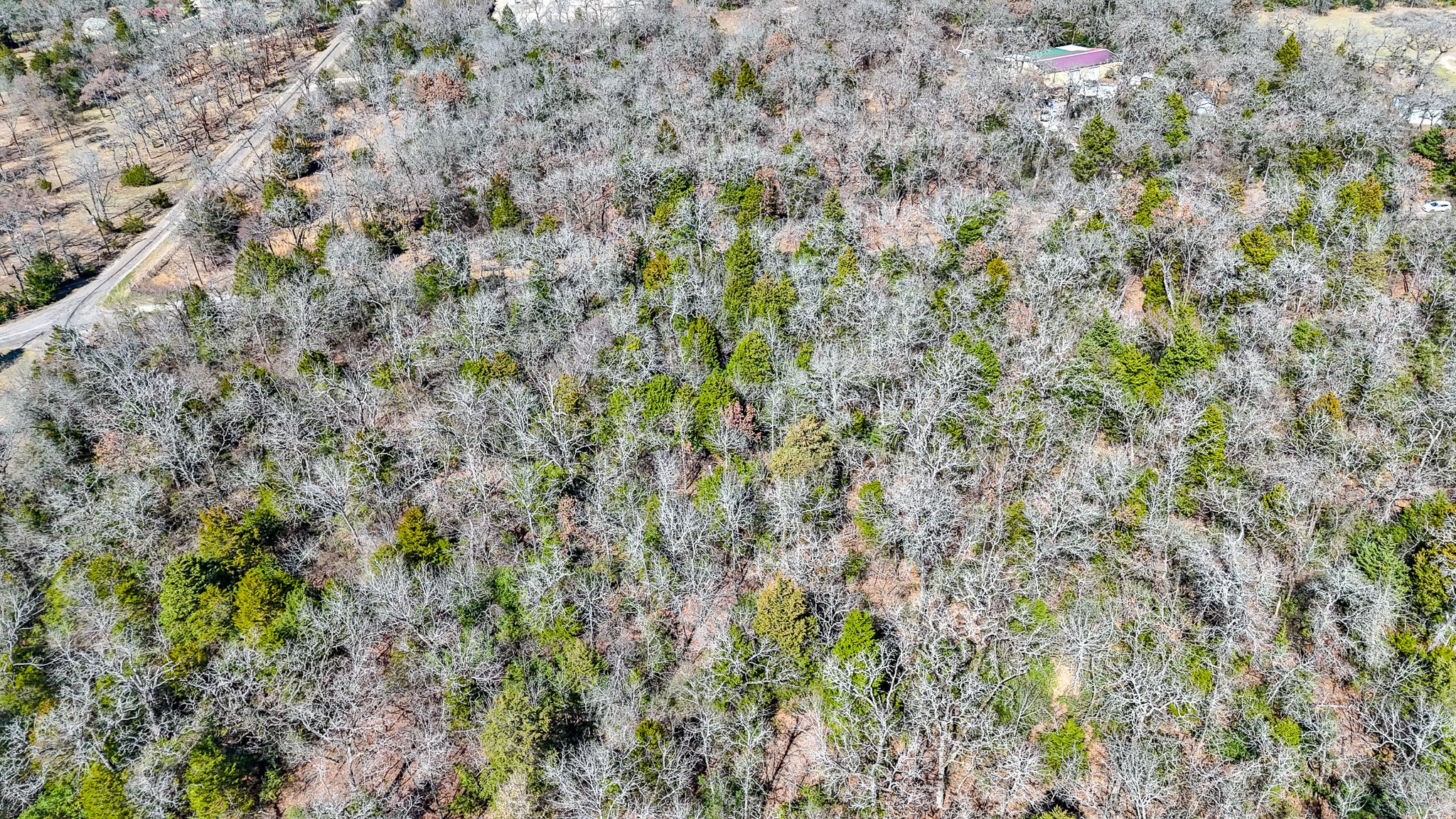 Tbd Lot 8 Fcr 540 Fairfield TX 75840