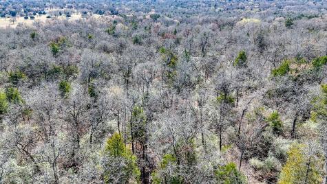 Tbd Lot 8 Fcr 540 Fairfield TX 75840