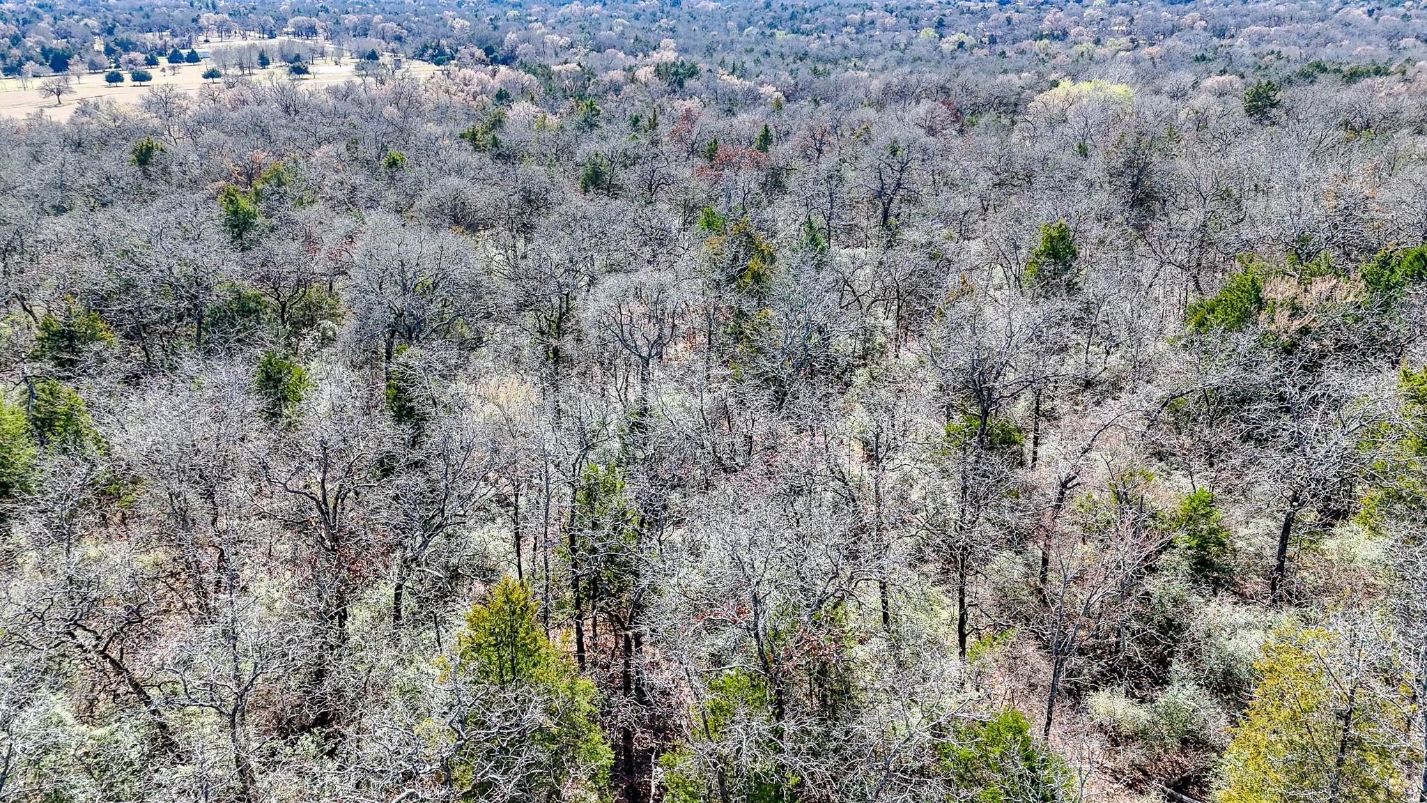 Tbd Lot 8 Fcr 540 Fairfield TX 75840
