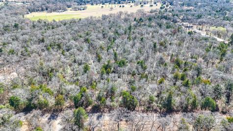 Tbd Lot 8 Fcr 540 Fairfield TX 75840