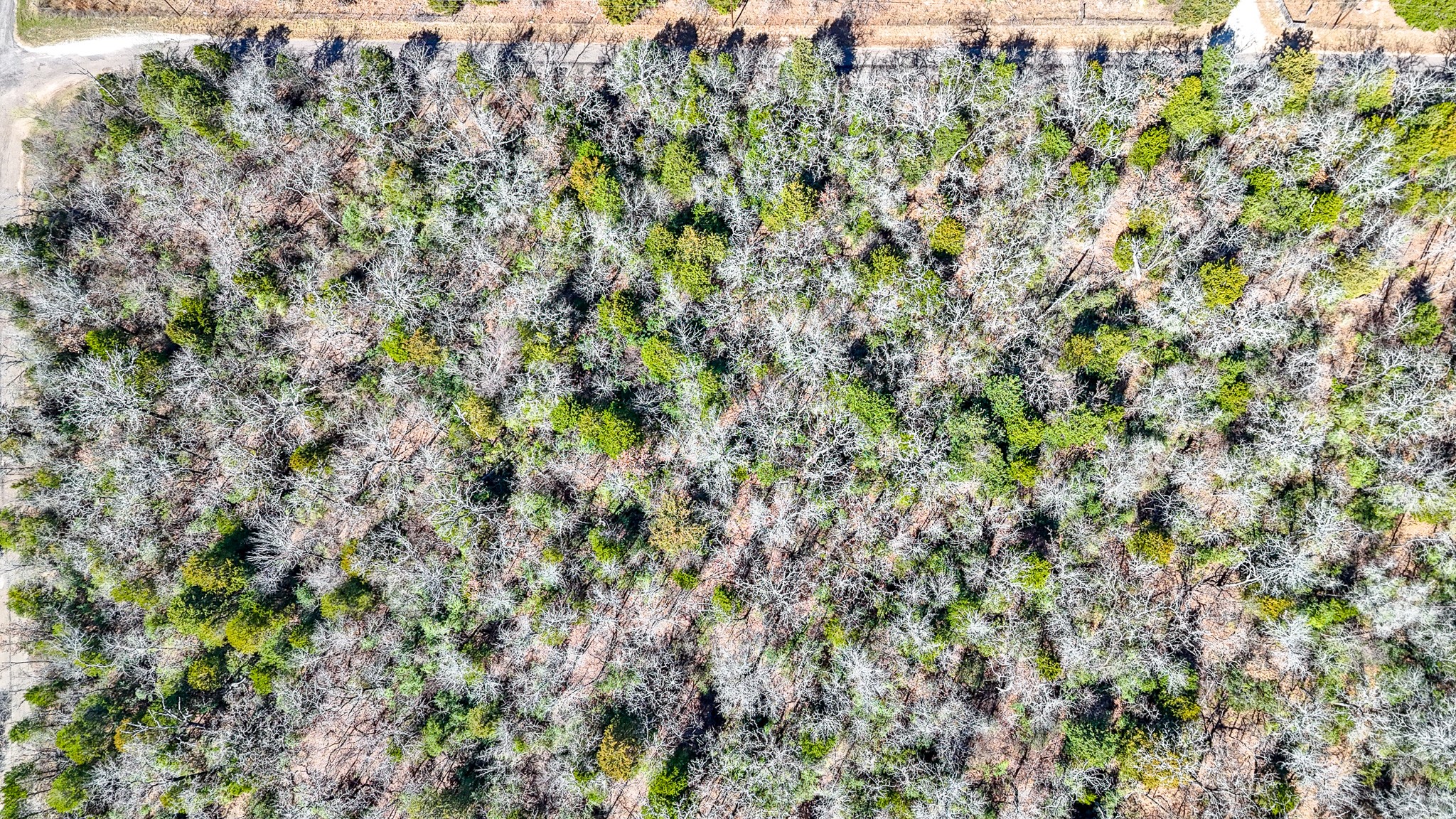 Tbd Lot 8 Fcr 540 Fairfield TX 75840