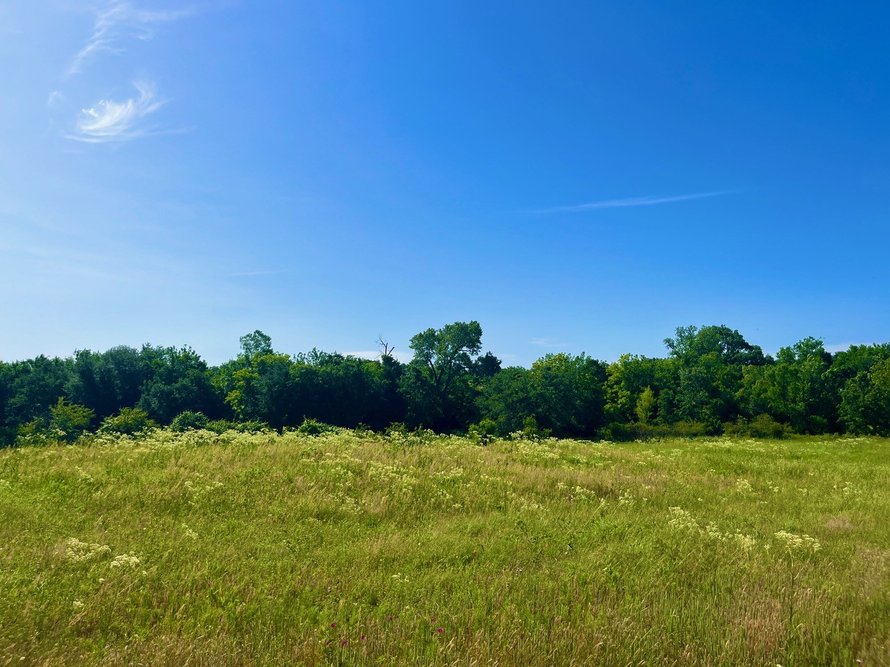 Lot 69 Kilkenny Road Poolville TX 76487