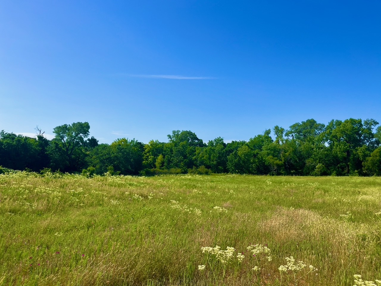 Lot 69 Kilkenny Road Poolville TX 76487