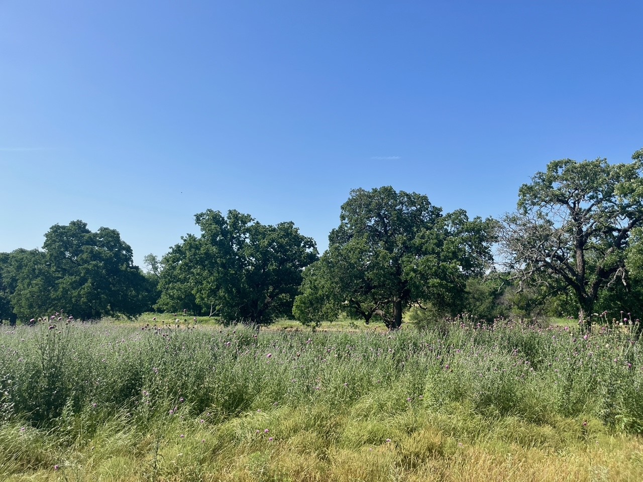 Lot 69 Kilkenny Road Poolville TX 76487