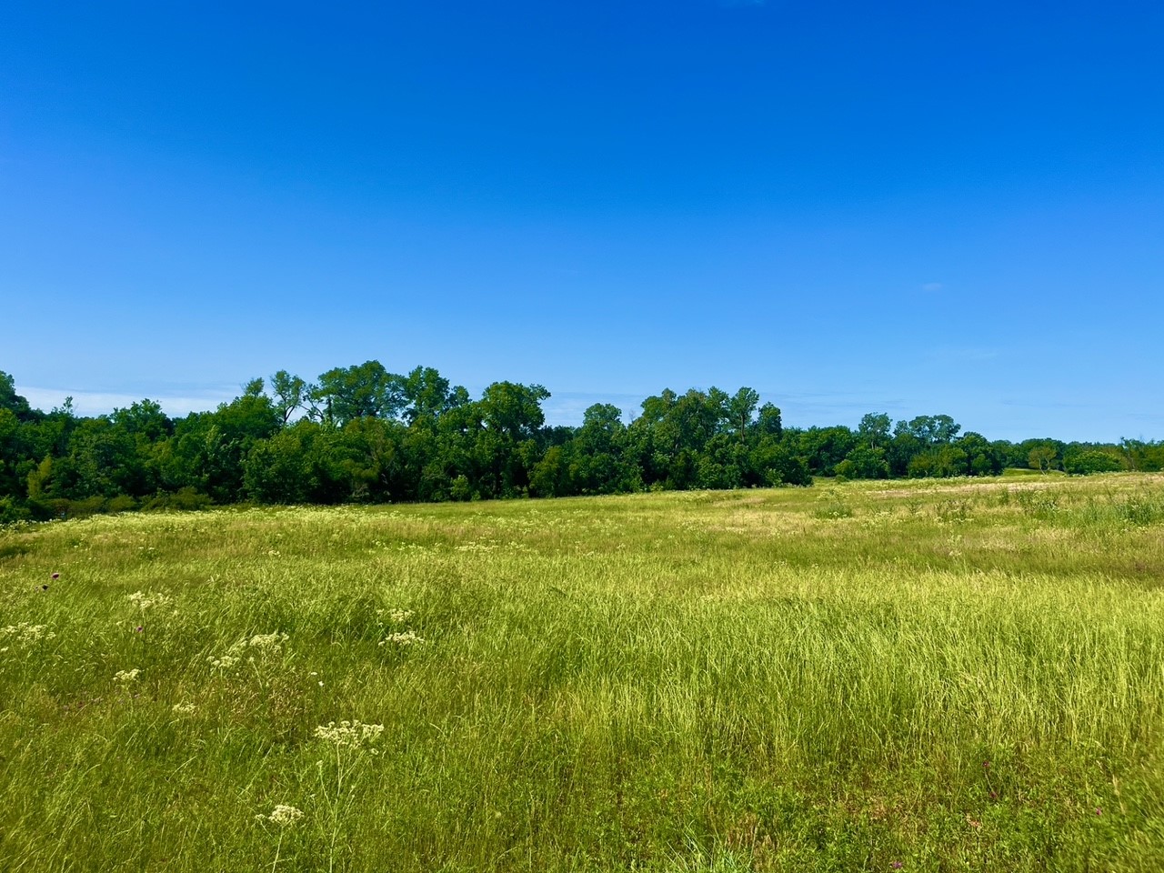 Lot 69 Kilkenny Road Poolville TX 76487