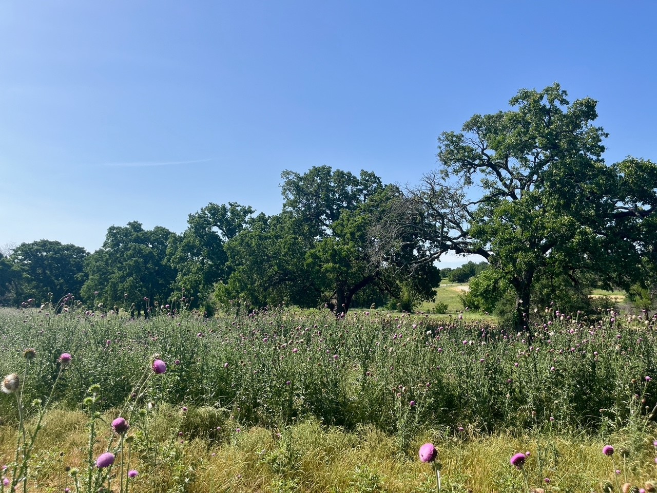 Lot 69 Kilkenny Road Poolville TX 76487