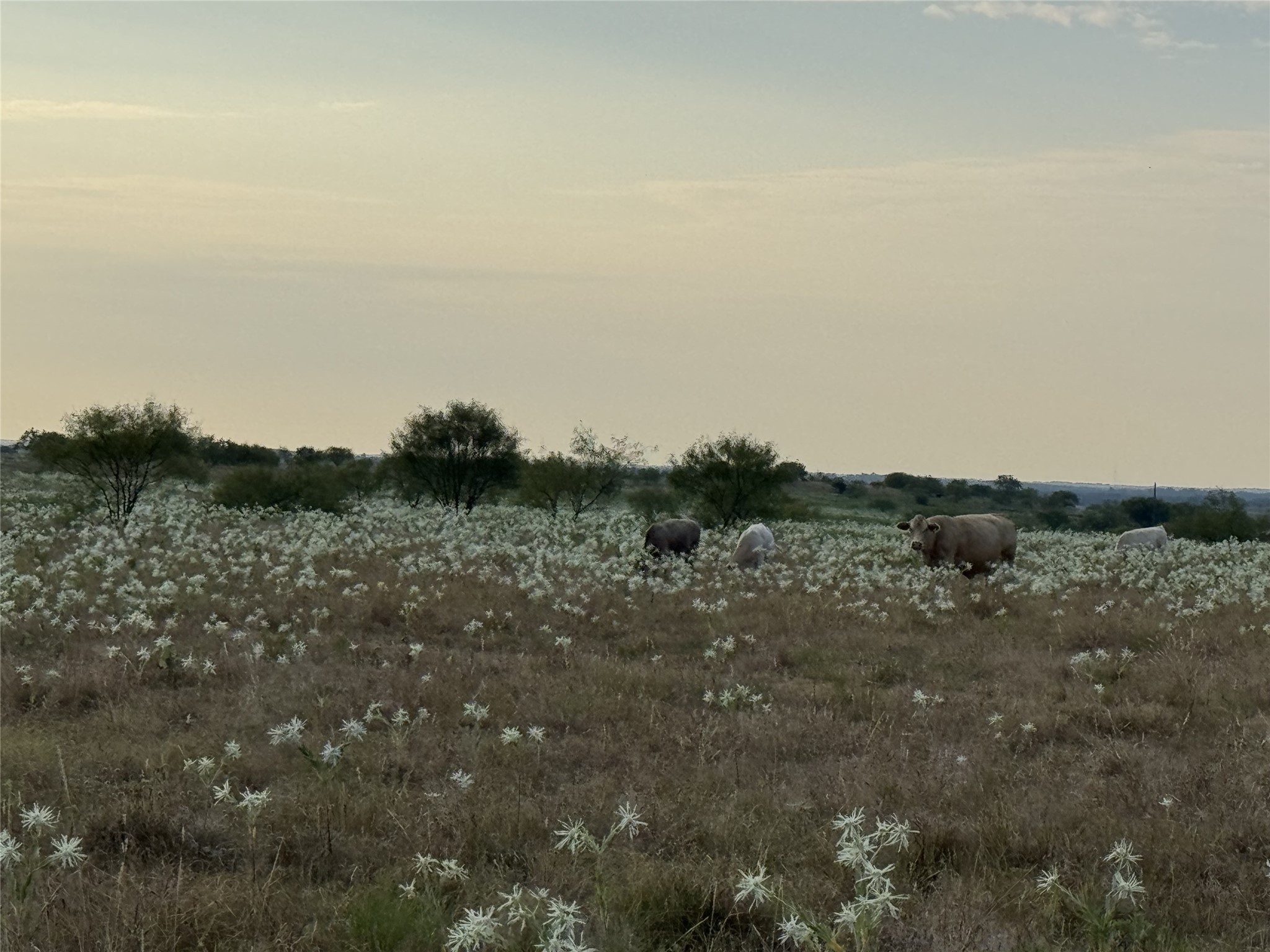 201 Private Road 4512 Decatur TX 76234