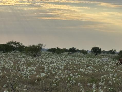 201 Private Road 4512 Decatur TX 76234