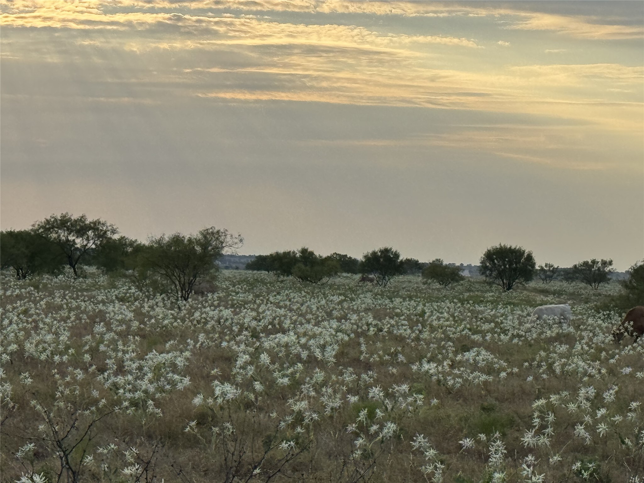 201 Private Road 4512 Decatur TX 76234