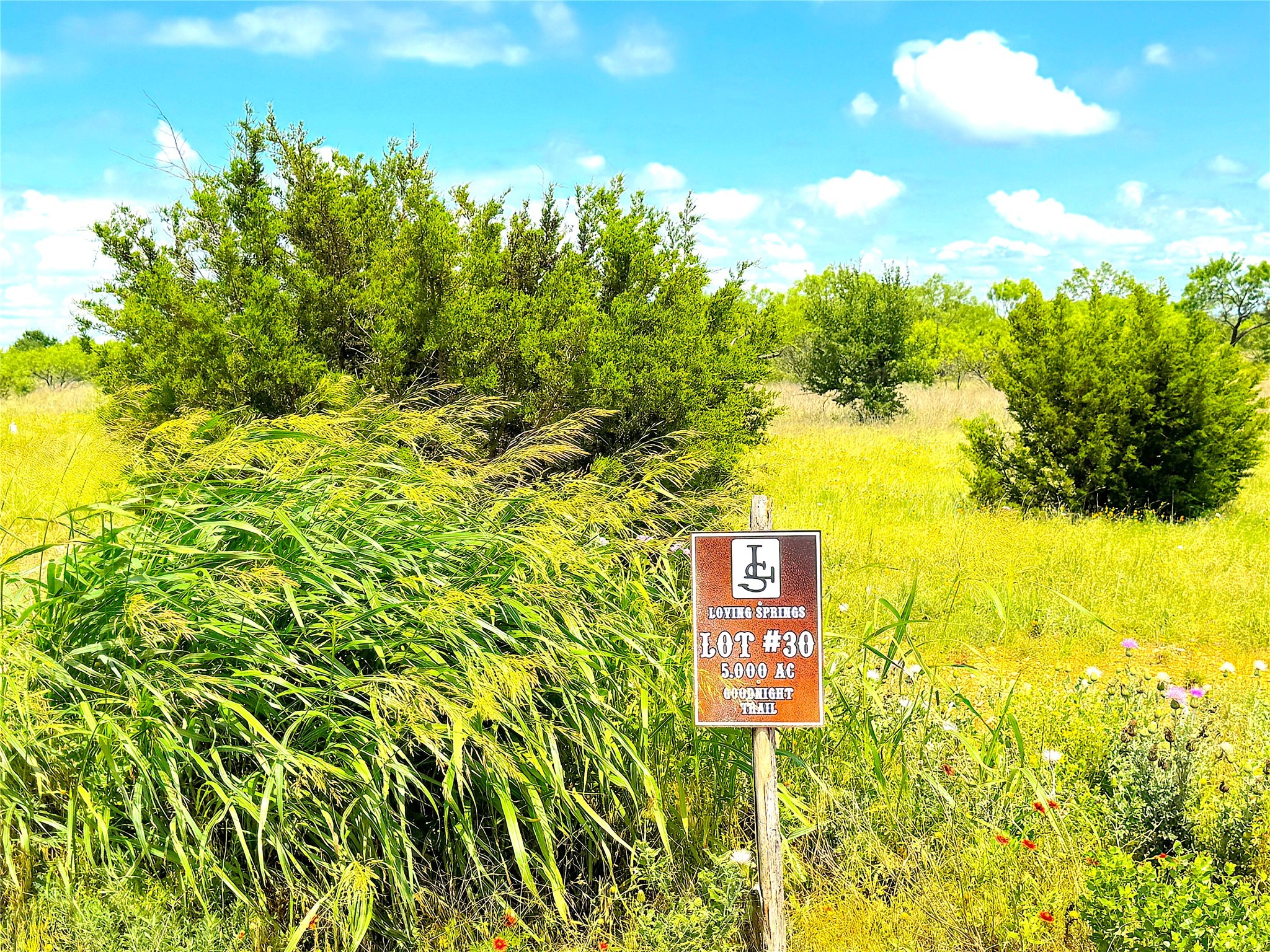 1020 Goodnight Trail Perrin TX 76486