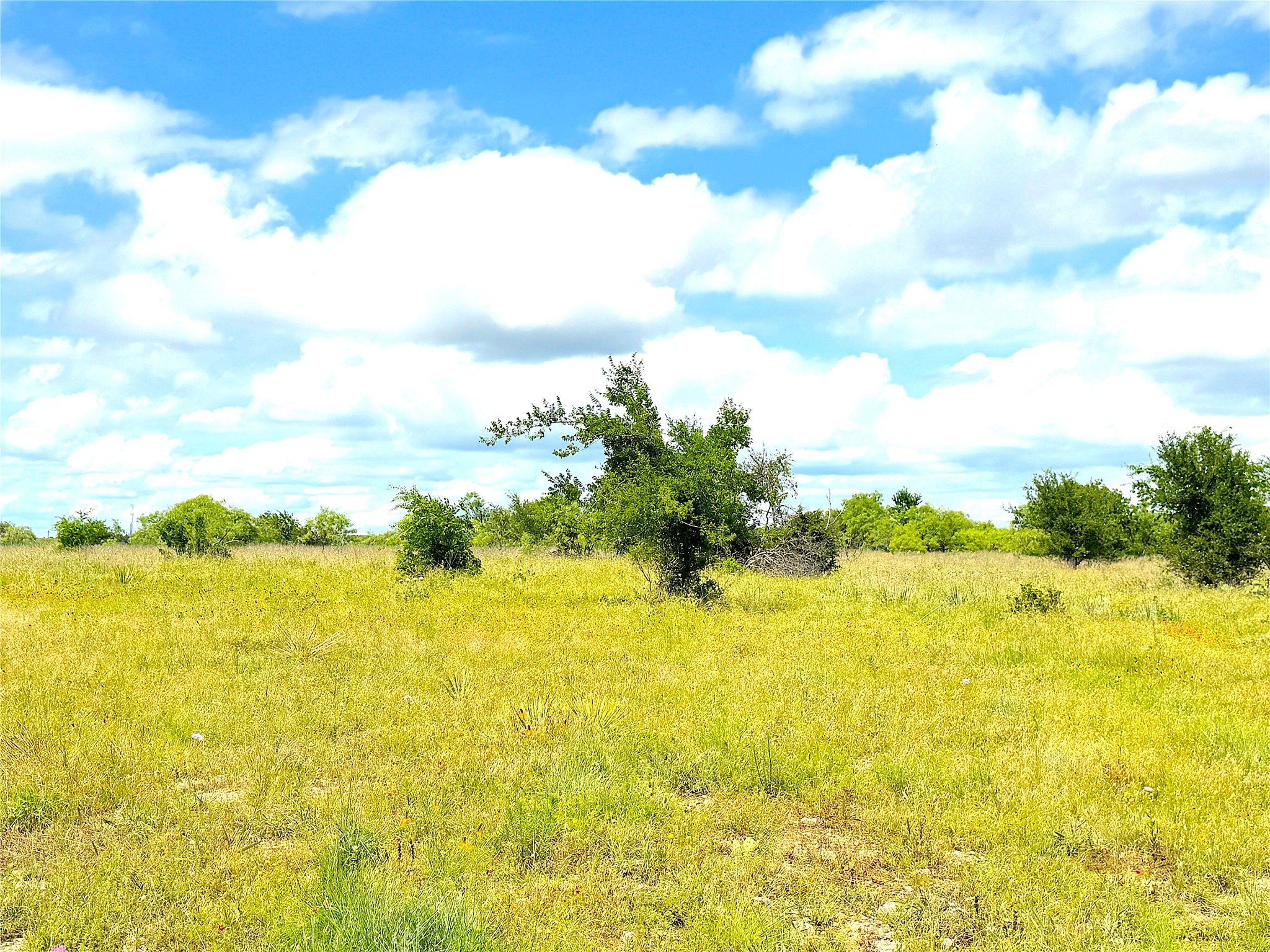 1020 Goodnight Trail Perrin TX 76486
