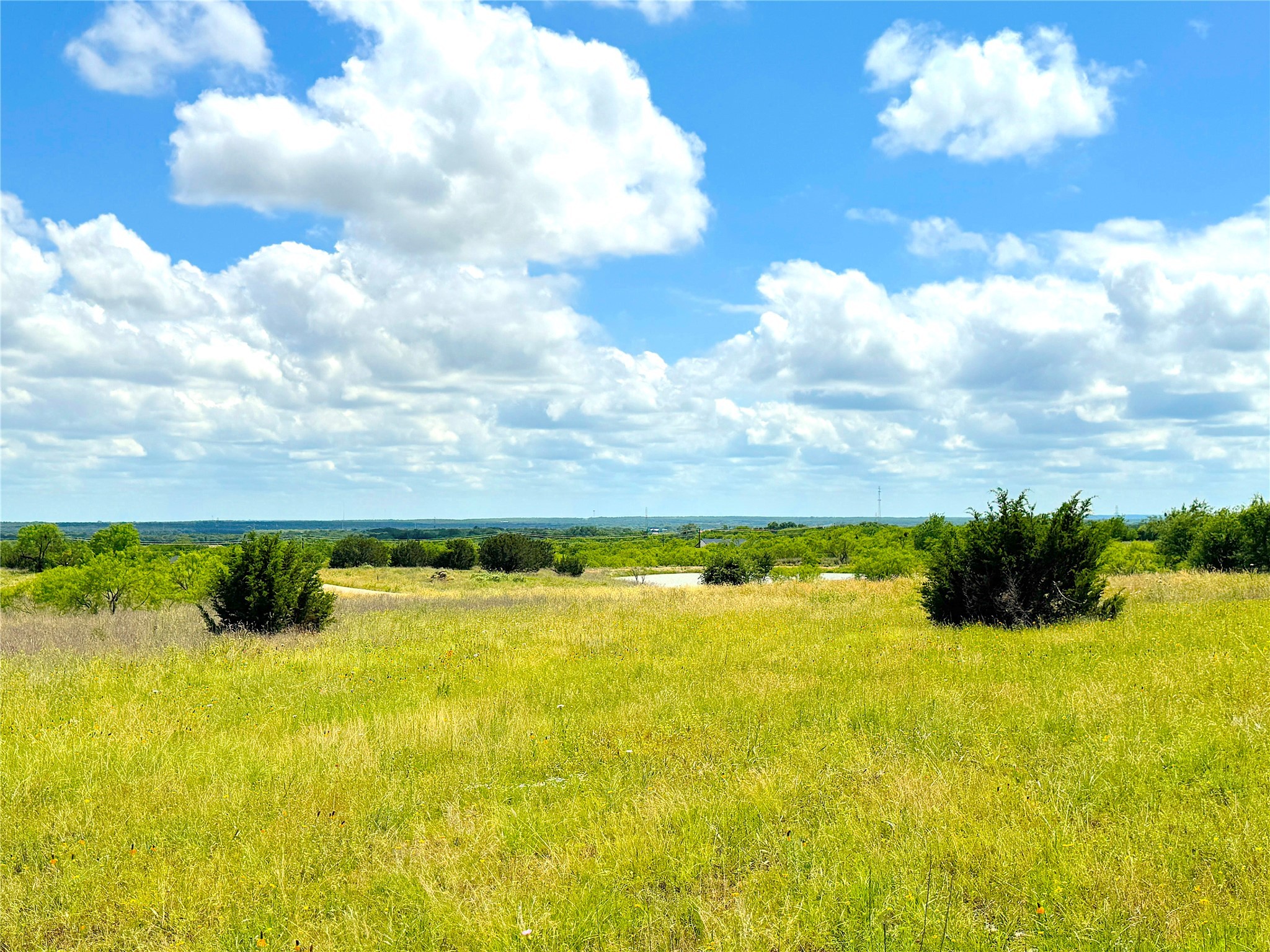 1020 Goodnight Trail Perrin TX 76486