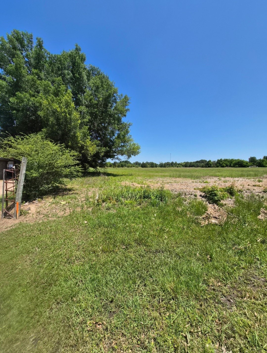 000 W Division Street Blossom TX 75416