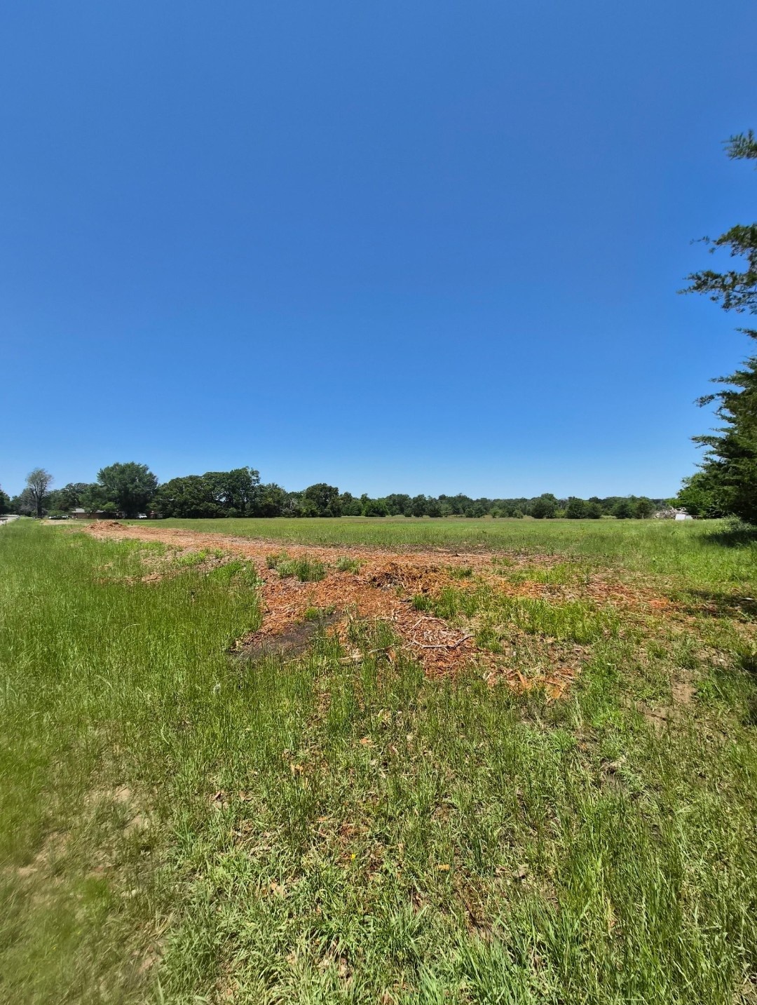 000 W Division Street Blossom TX 75416