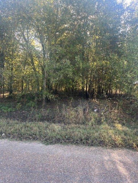 23 County Road 316c Terrell TX 75161