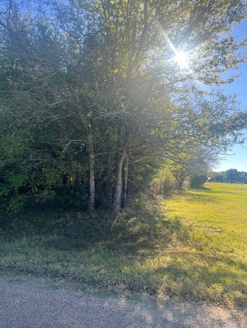 23 County Road 316c Terrell TX 75161