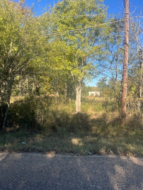 23 County Road 316c Terrell TX 75161