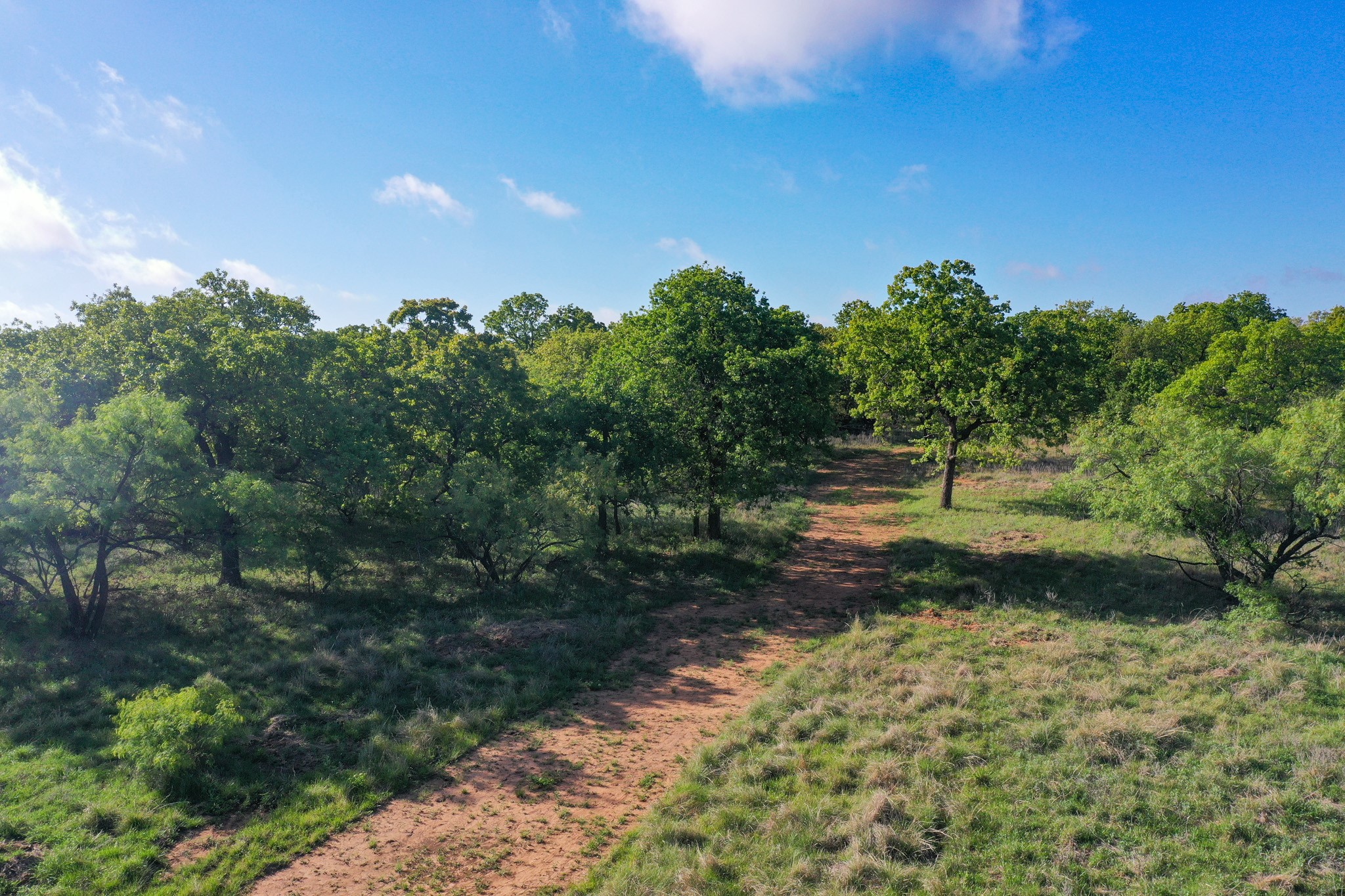 Tbd Roney Road Jacksboro TX 76458