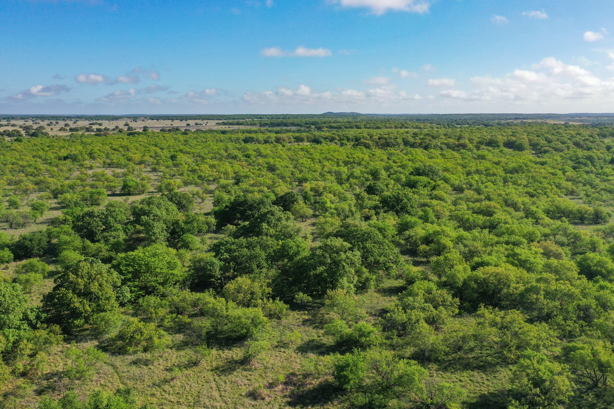 Tbd Roney Road Jacksboro TX 76458