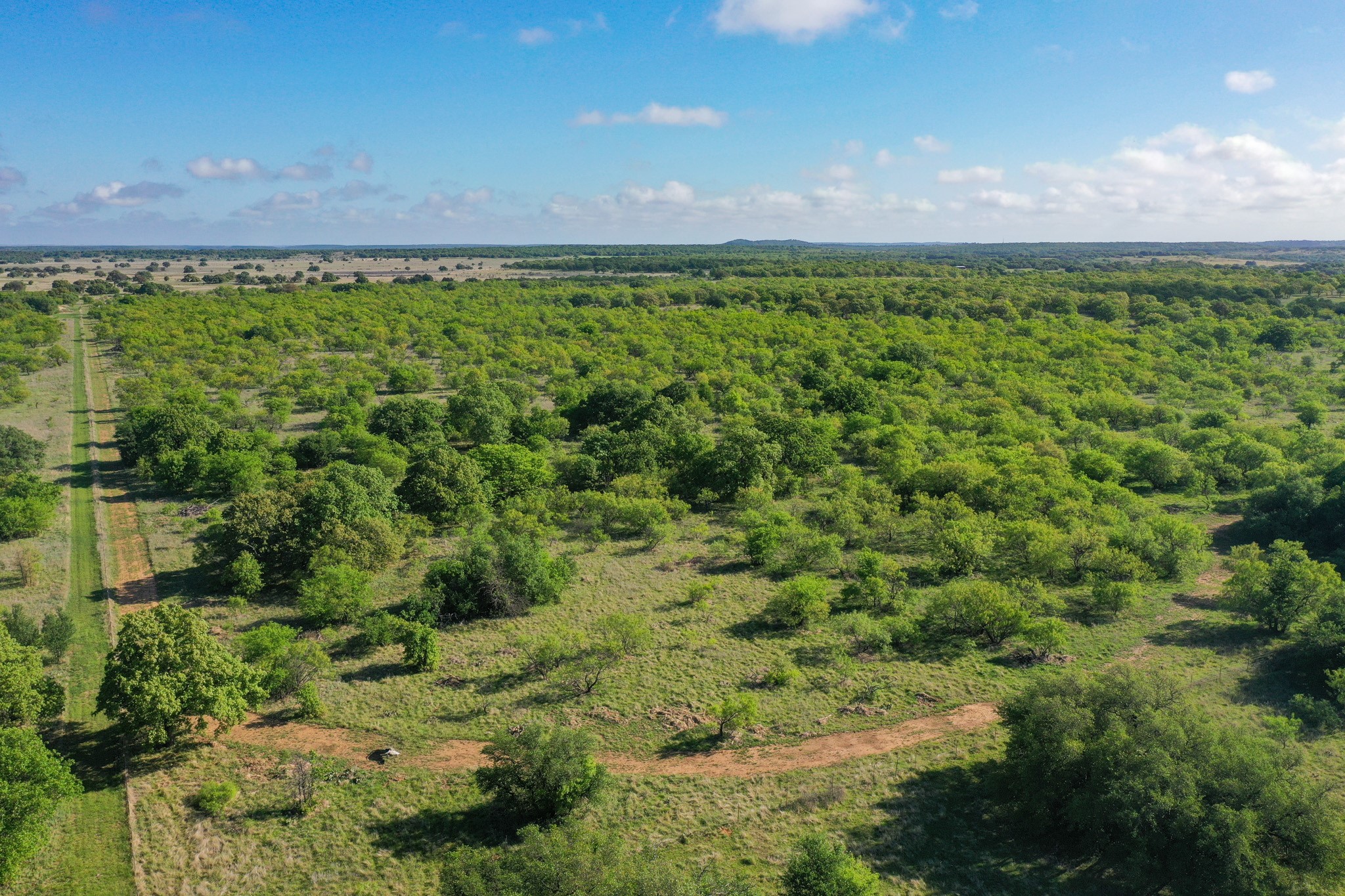 Tbd Roney Road Jacksboro TX 76458
