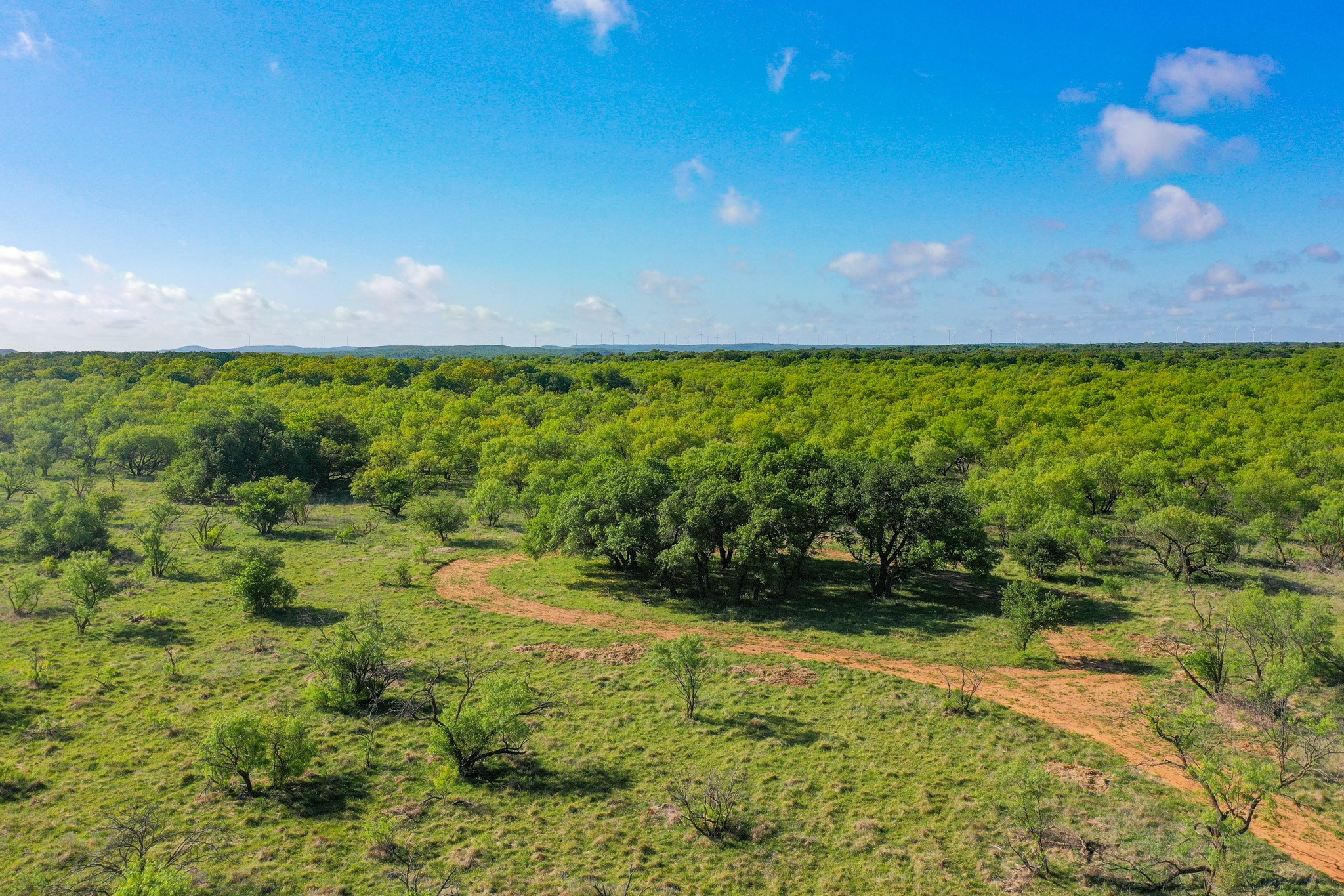 Tbd Roney Road Jacksboro TX 76458