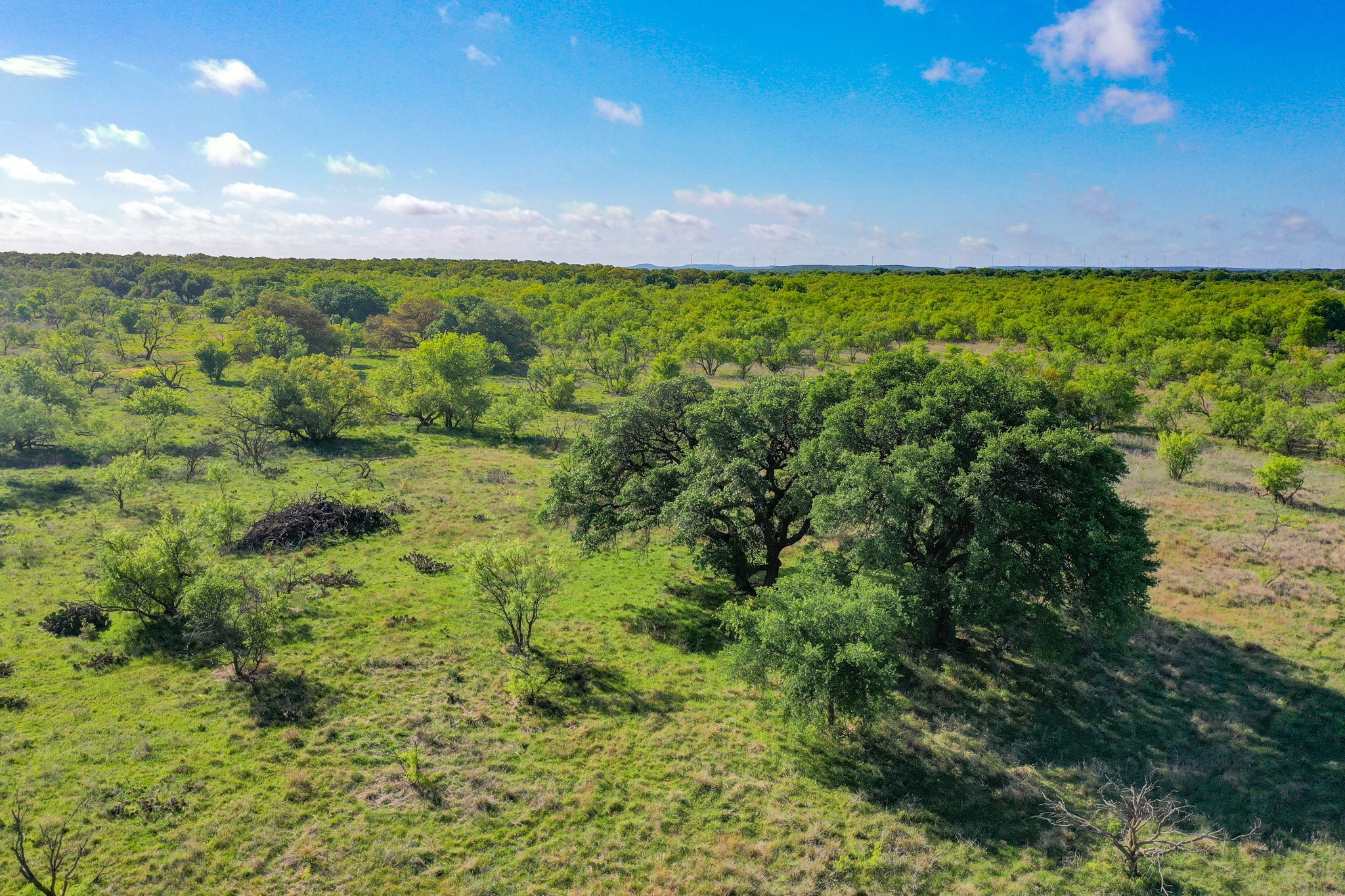 Tbd Roney Road Jacksboro TX 76458