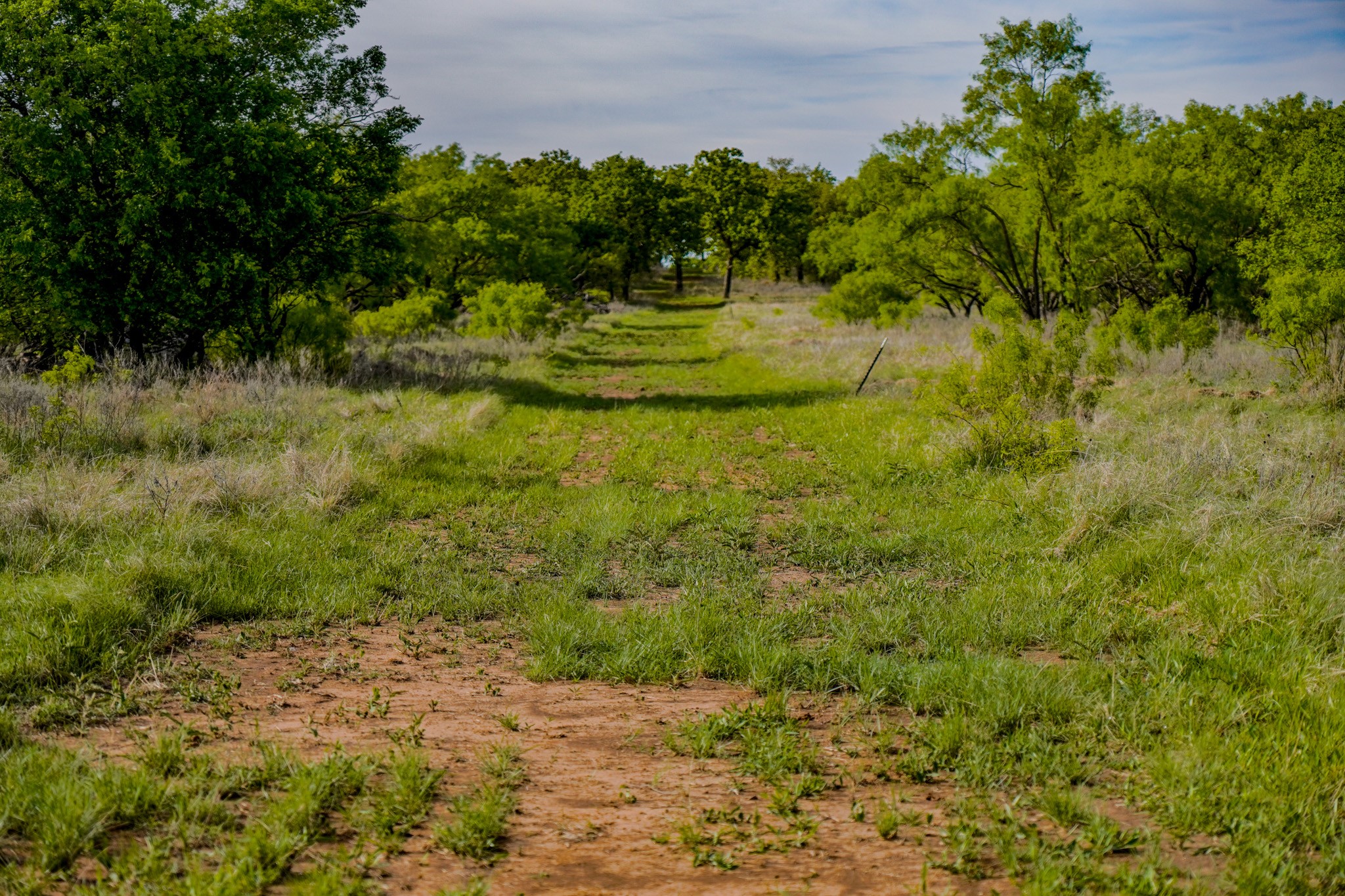 Tbd Roney Road Jacksboro TX 76458