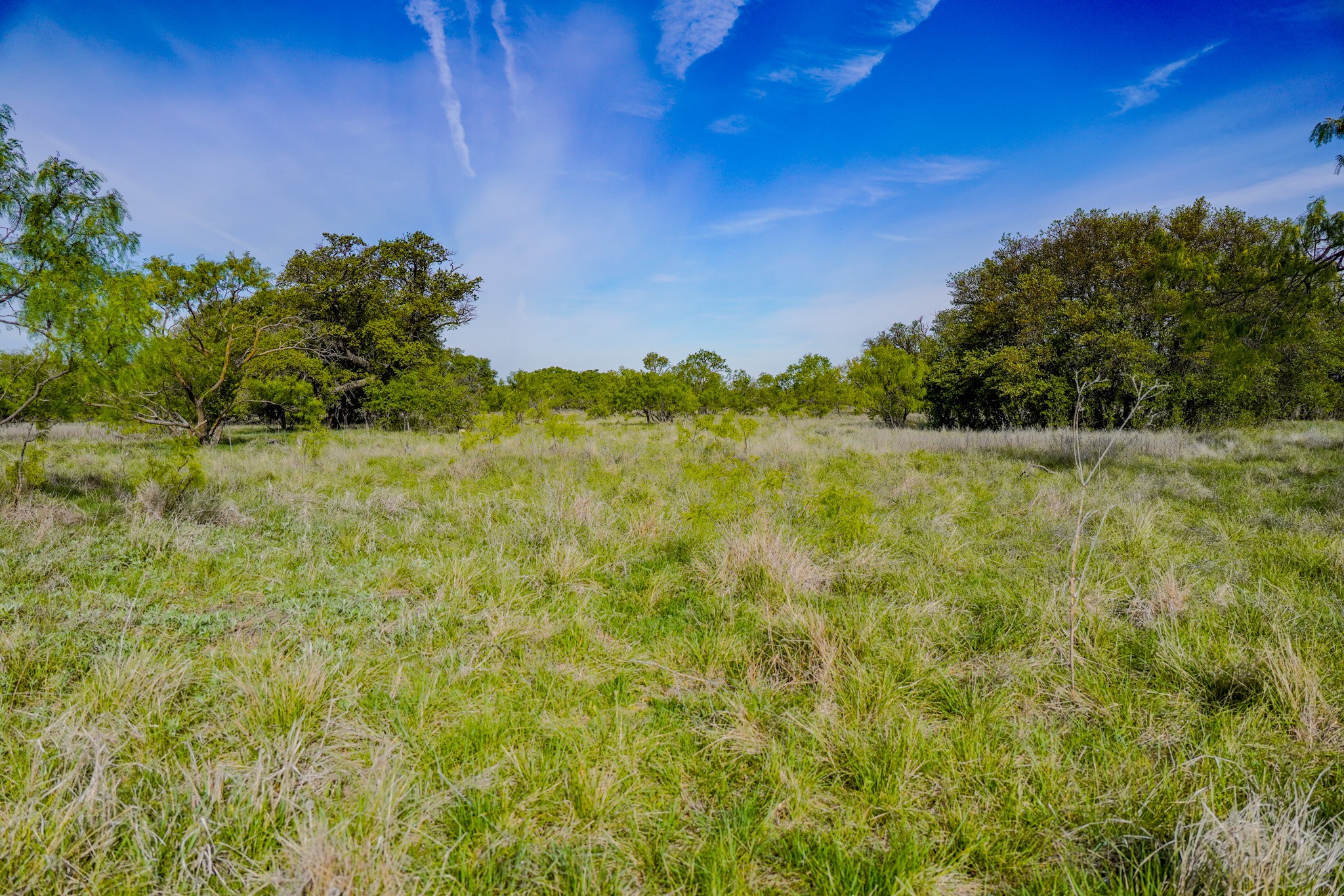 Tbd Roney Road Jacksboro TX 76458