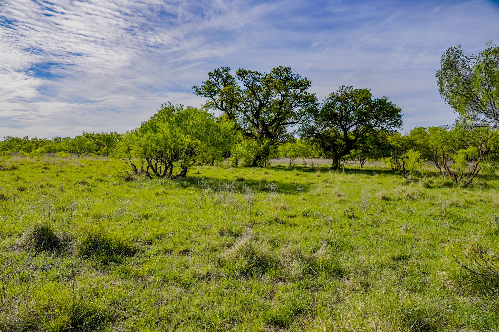 Tbd Roney Road Jacksboro TX 76458