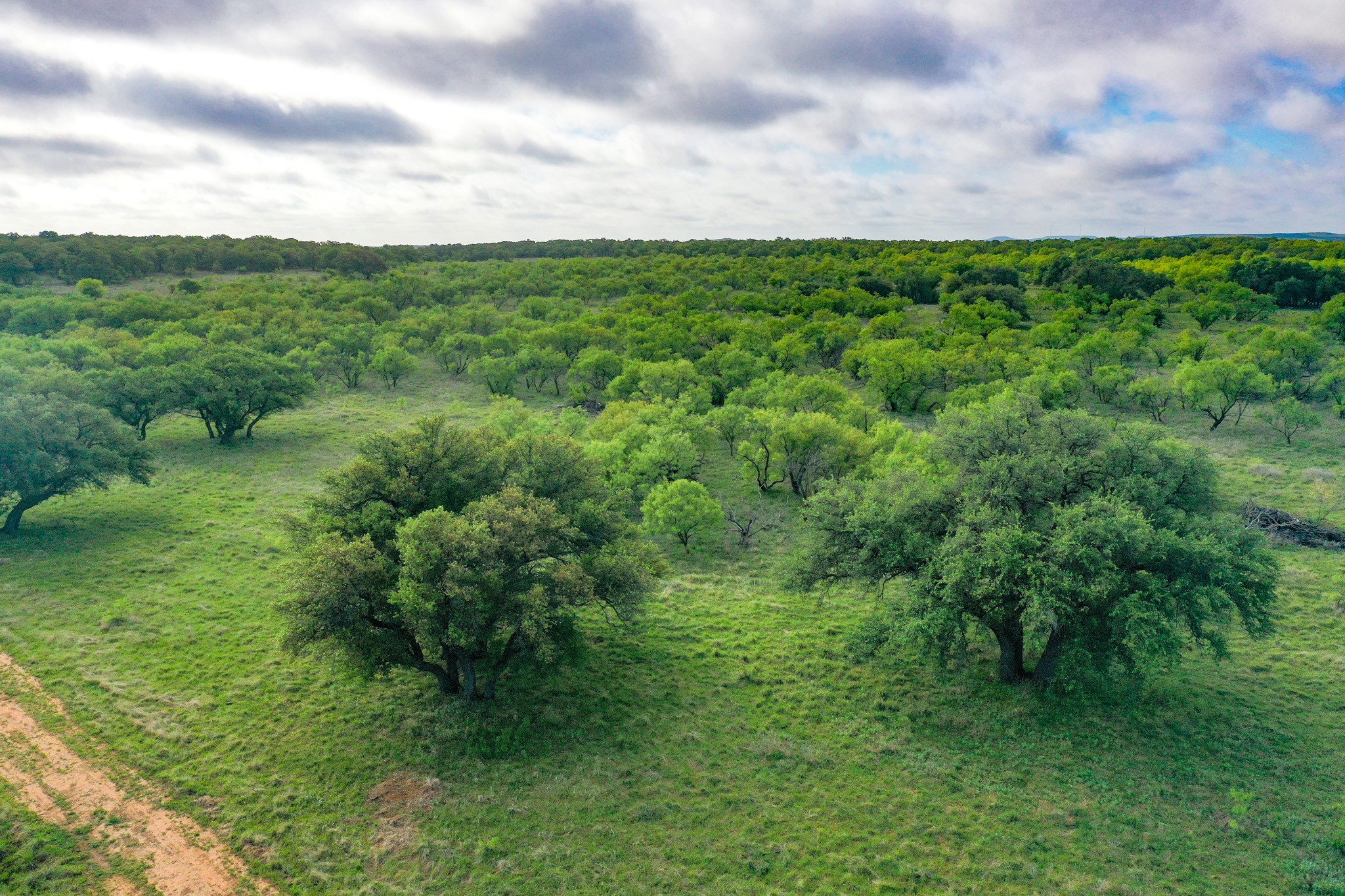 Tbd Roney Road Jacksboro TX 76458