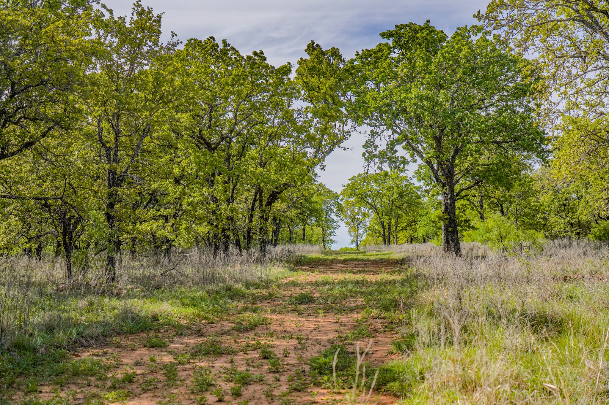 Tbd Roney Road Jacksboro TX 76458