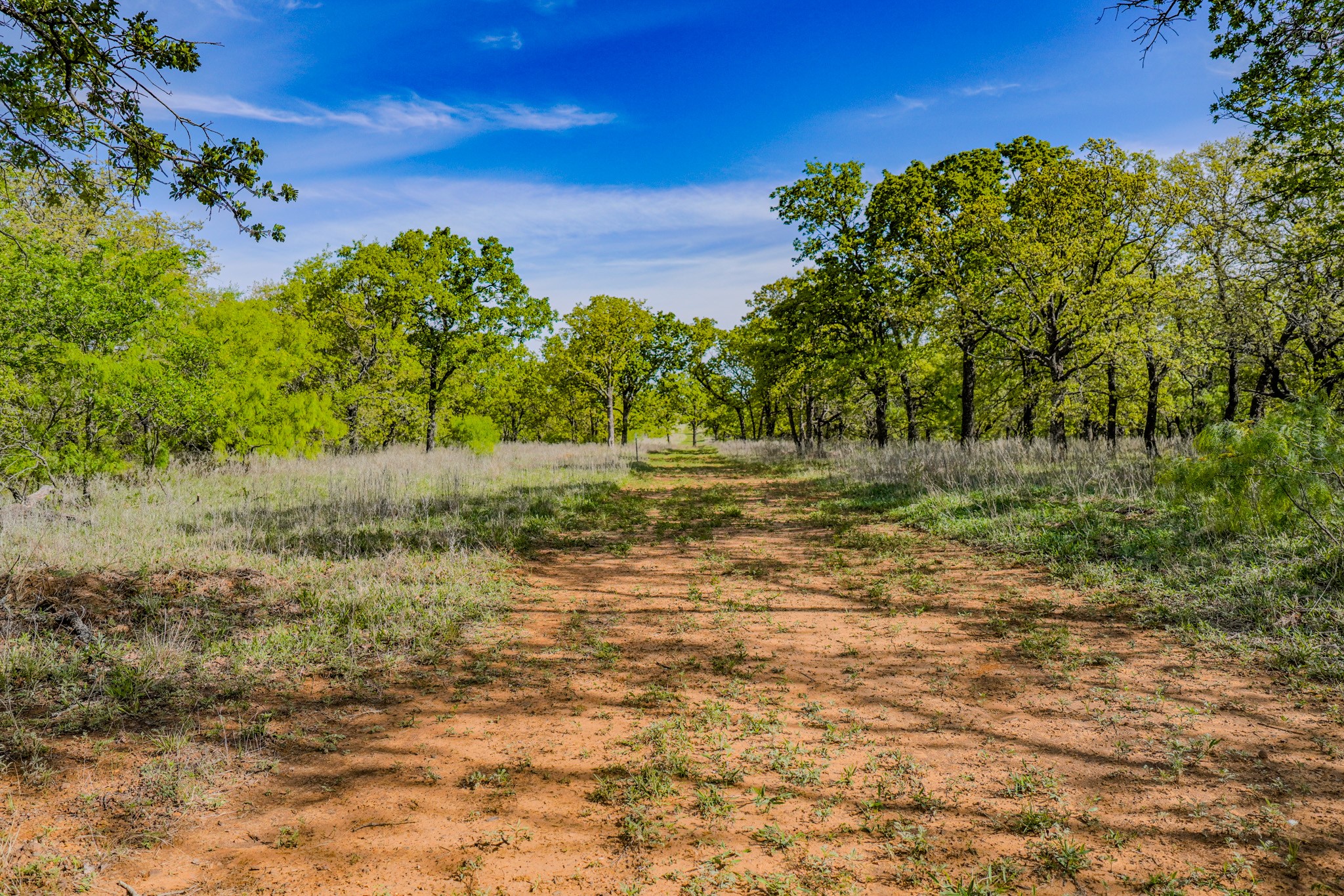Tbd Roney Road Jacksboro TX 76458