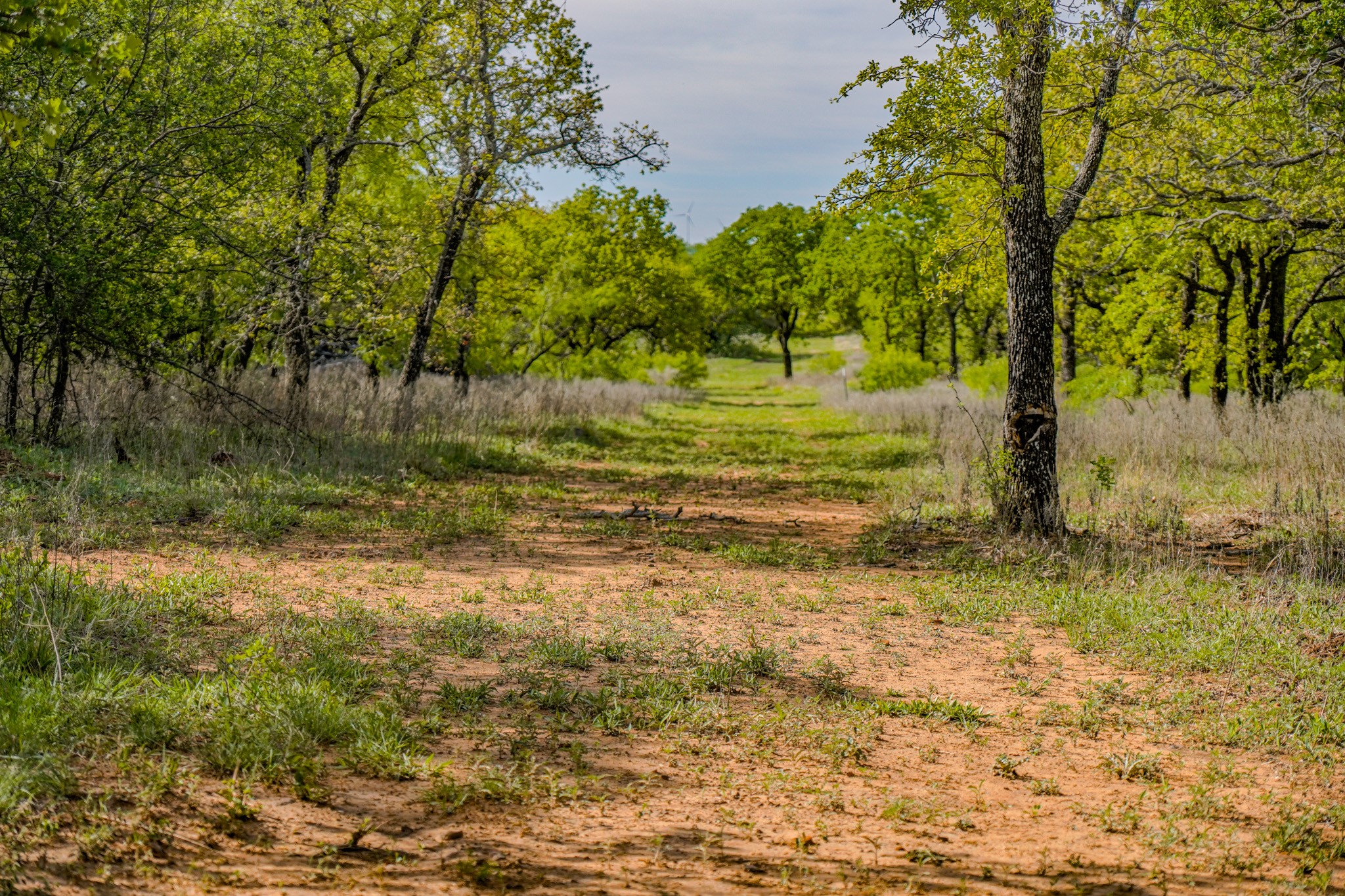 Tbd Roney Road Jacksboro TX 76458