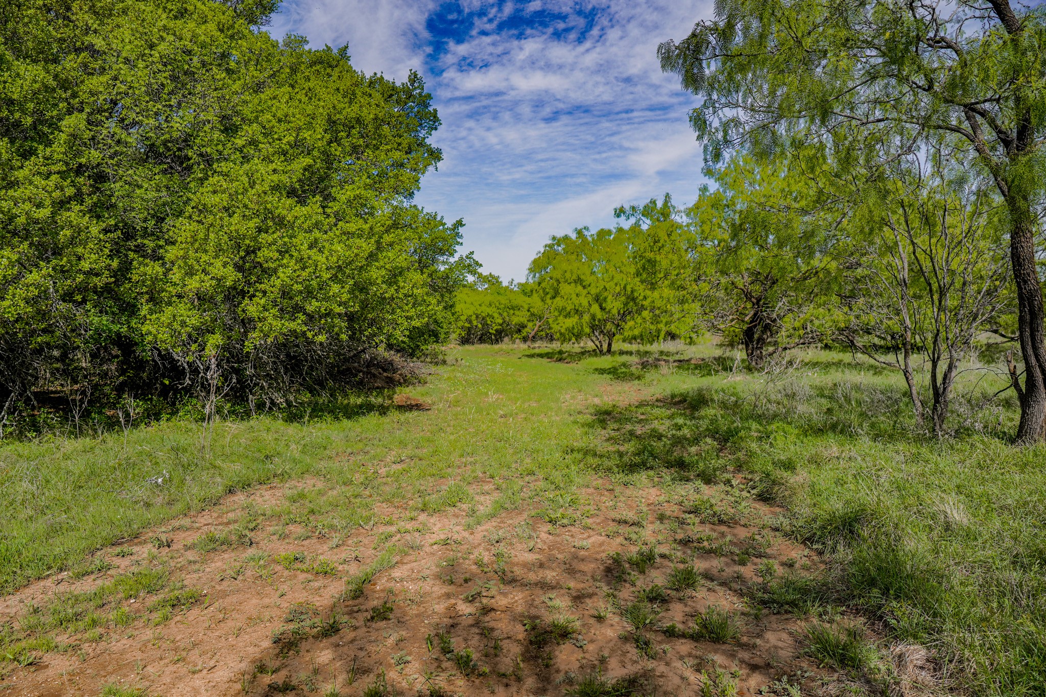 Tbd Roney Road Jacksboro TX 76458