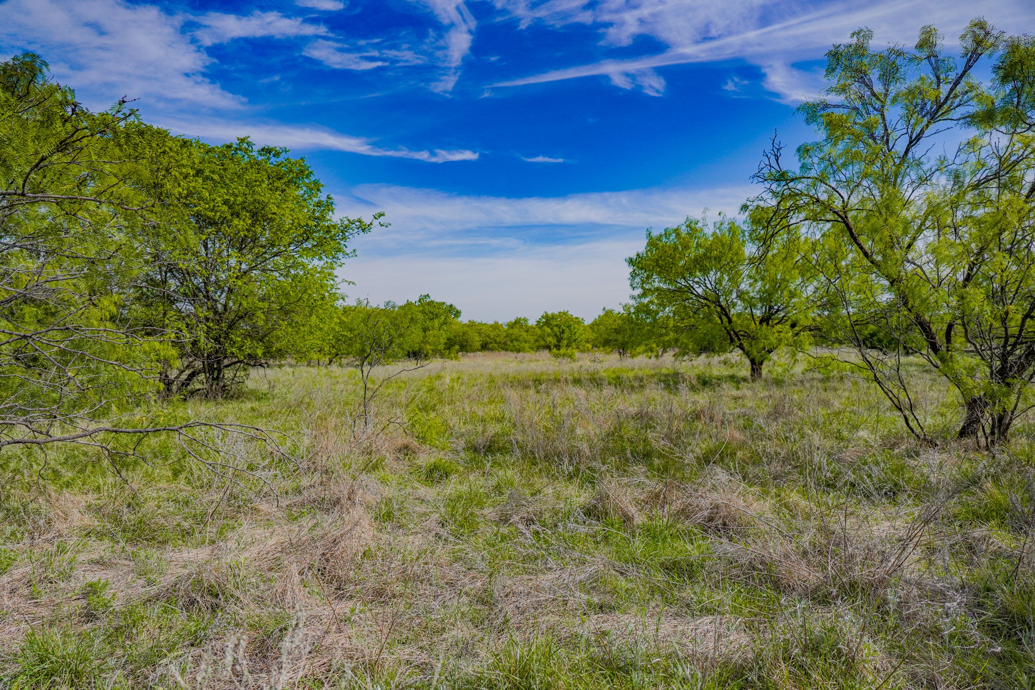 Tbd Roney Road Jacksboro TX 76458