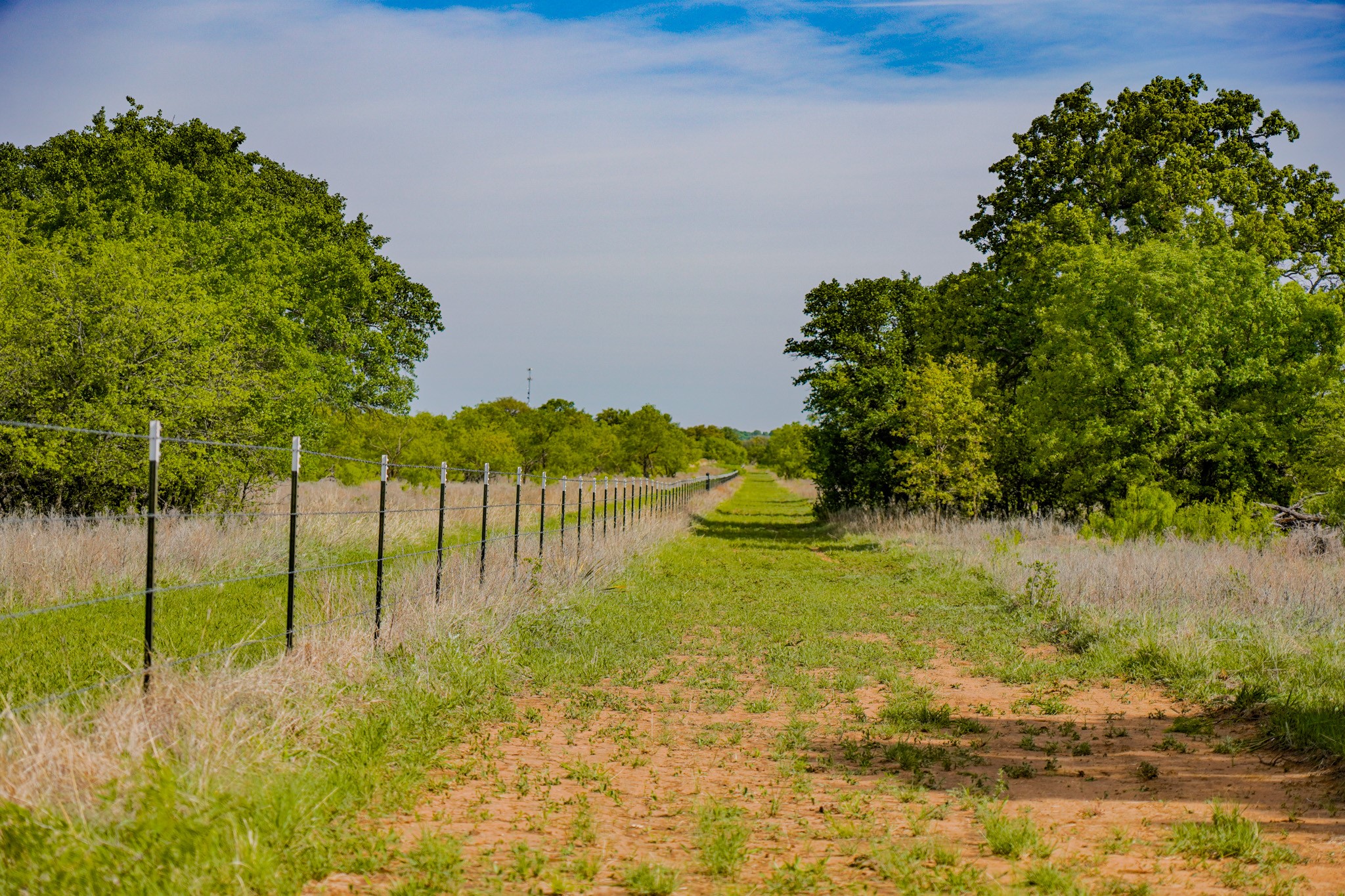Tbd Roney Road Jacksboro TX 76458
