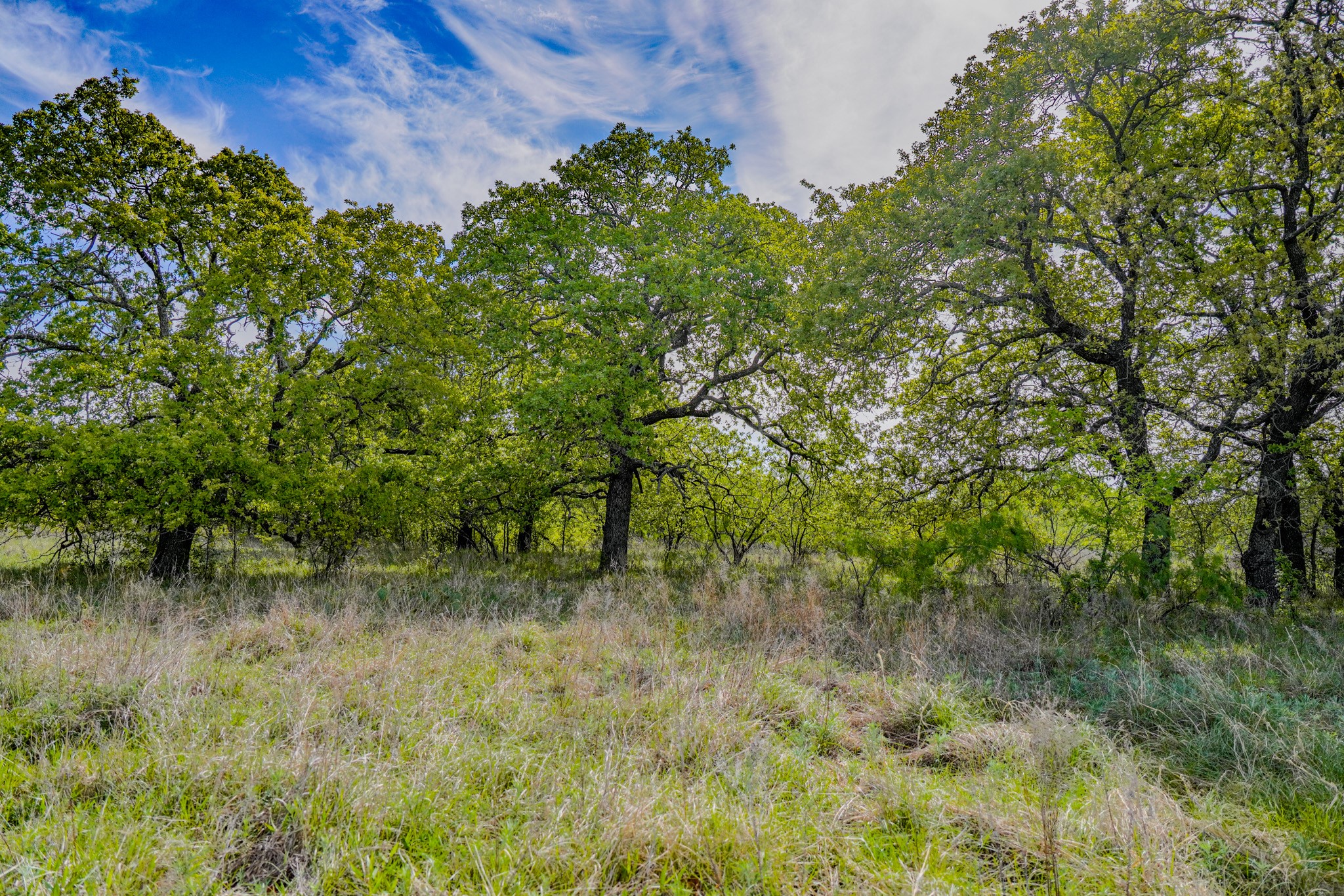 Tbd Roney Road Jacksboro TX 76458