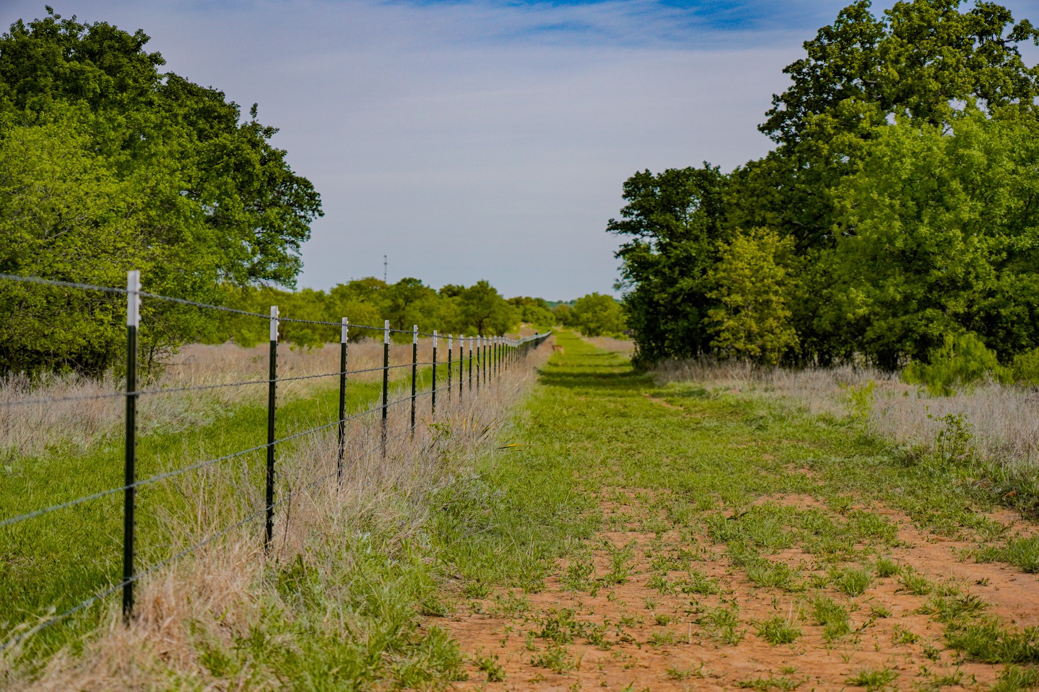 Tbd Roney Road Jacksboro TX 76458