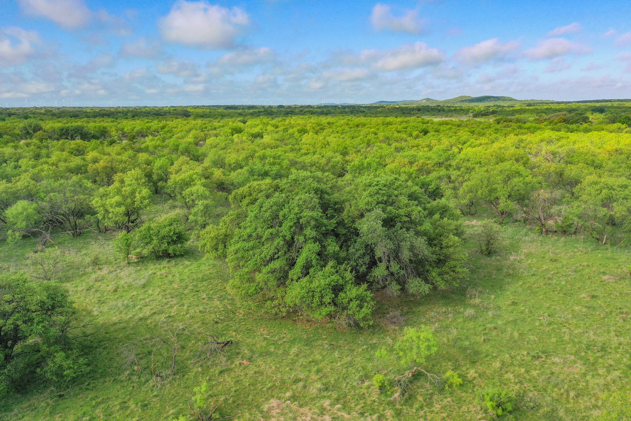 Tbd Roney Road Jacksboro TX 76458