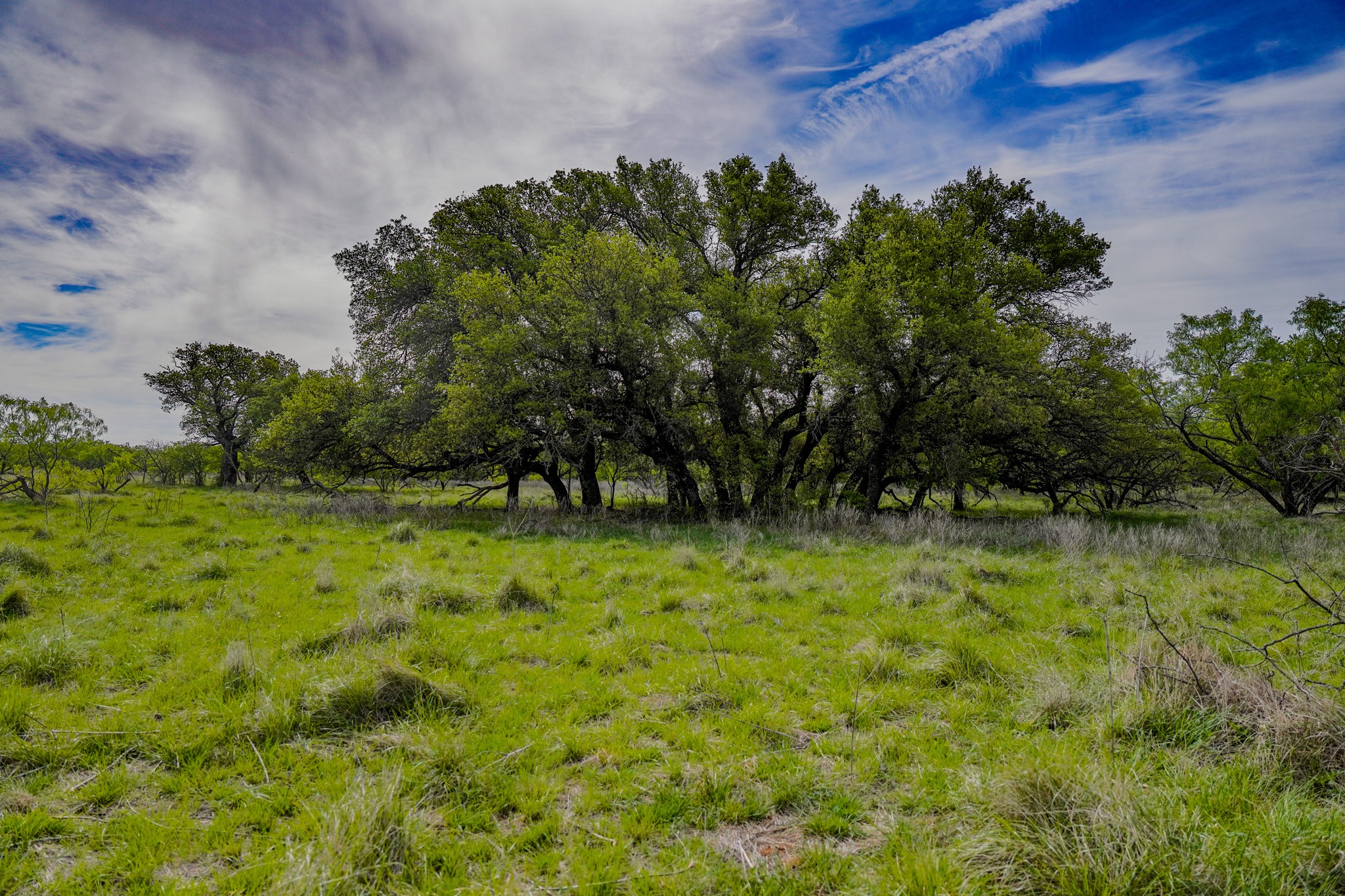 Tbd Roney Road Jacksboro TX 76458