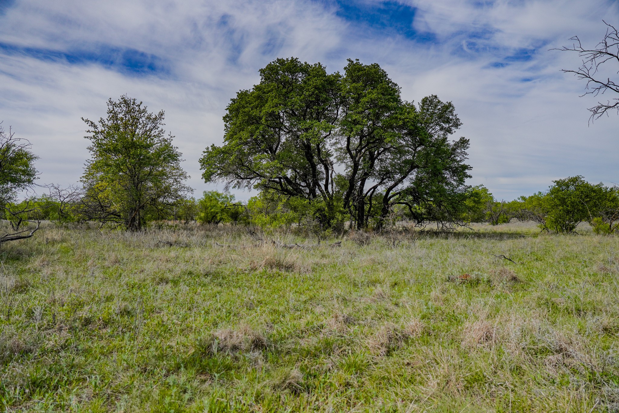 Tbd Roney Road Jacksboro TX 76458