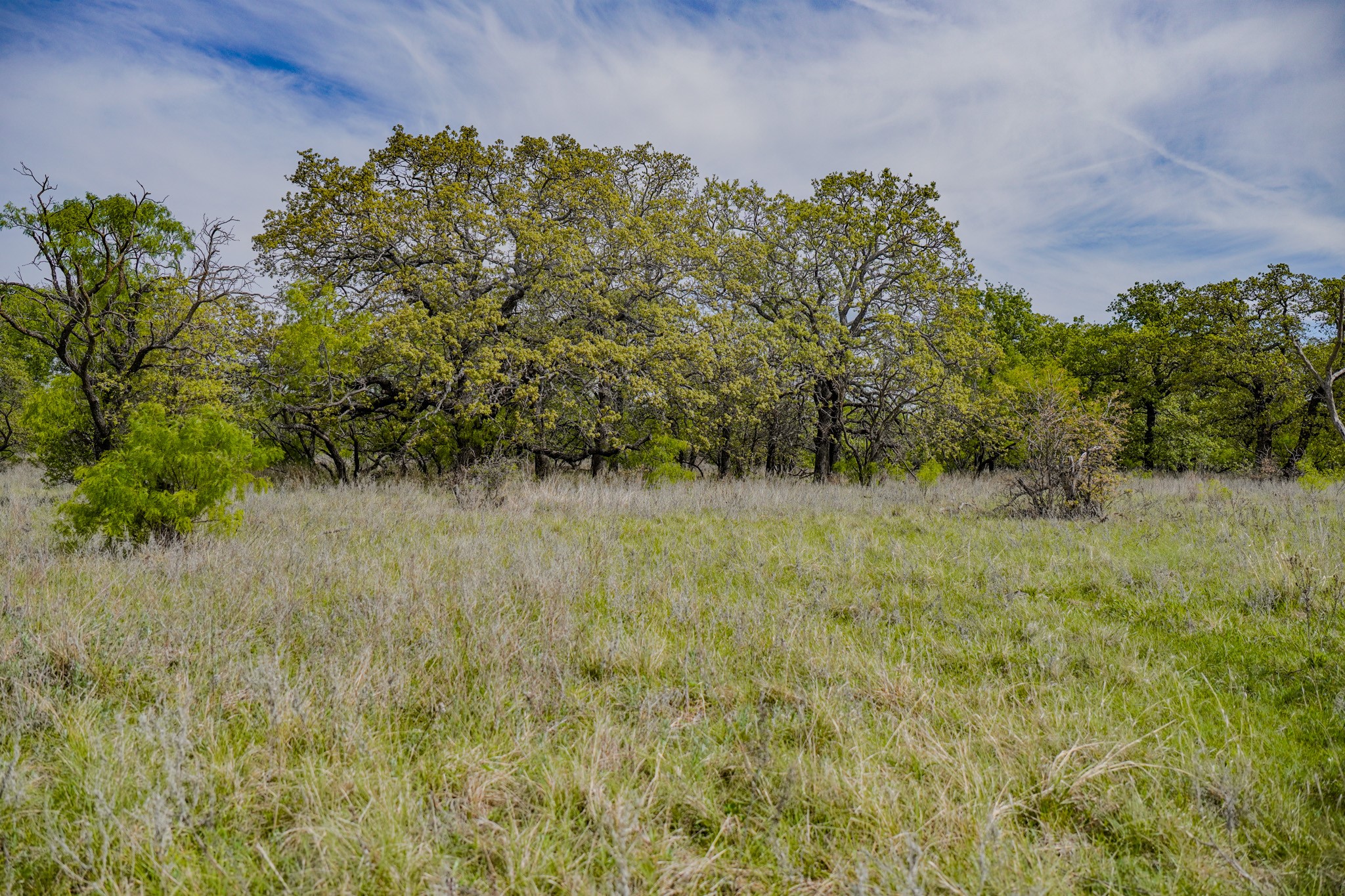 Tbd Roney Road Jacksboro TX 76458