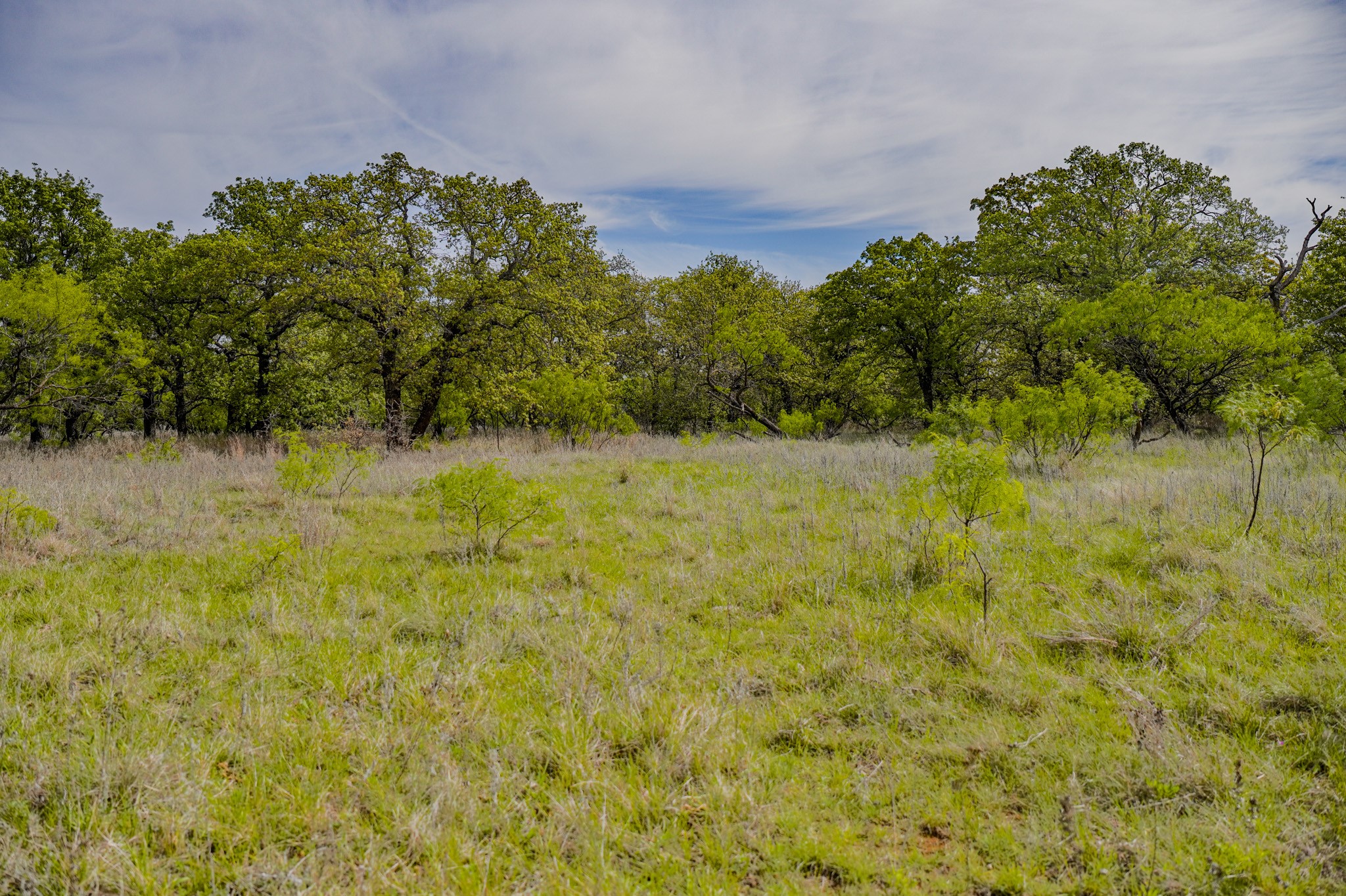 Tbd Roney Road Jacksboro TX 76458