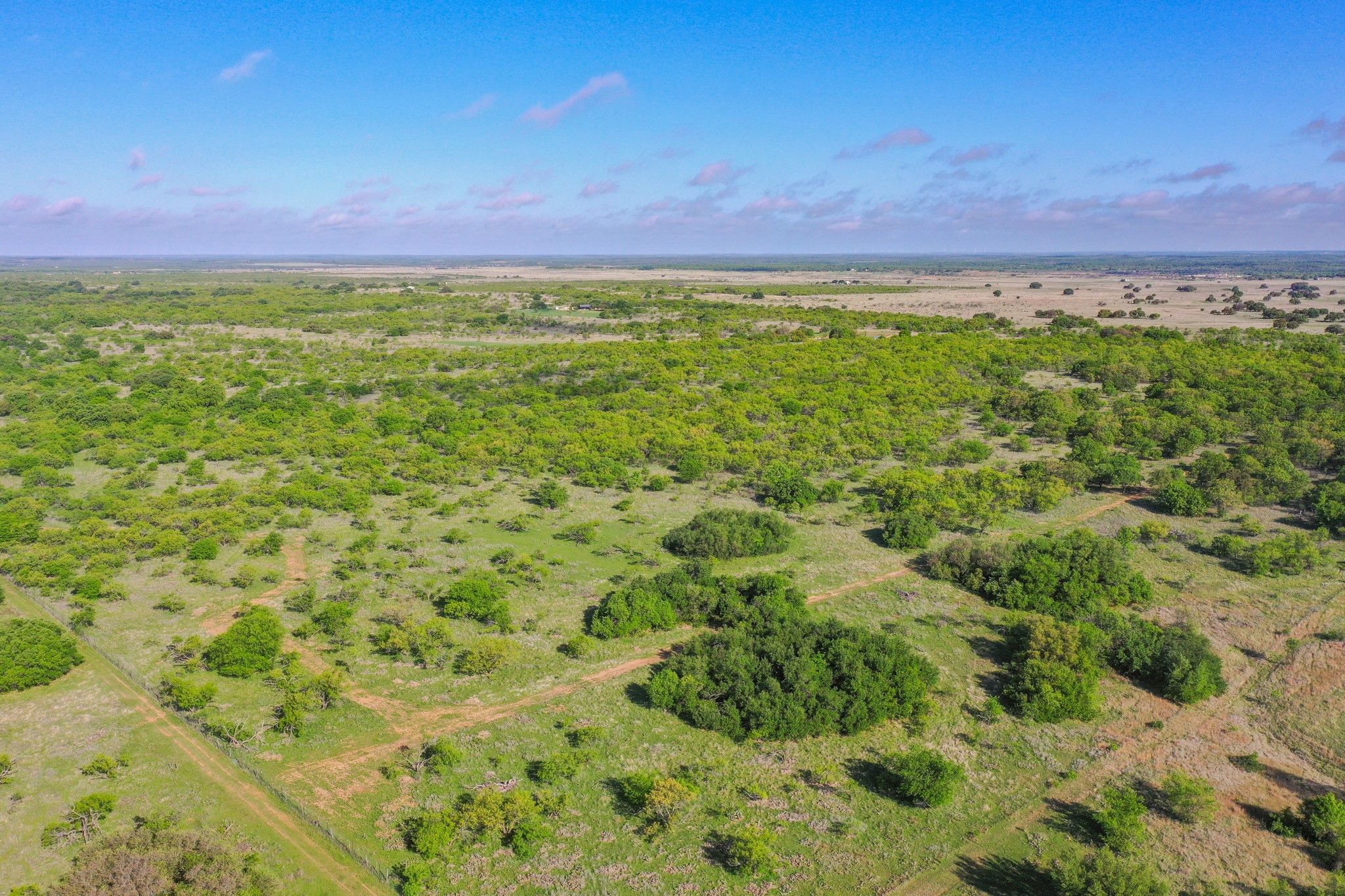 Tbd Roney Road Jacksboro TX 76458