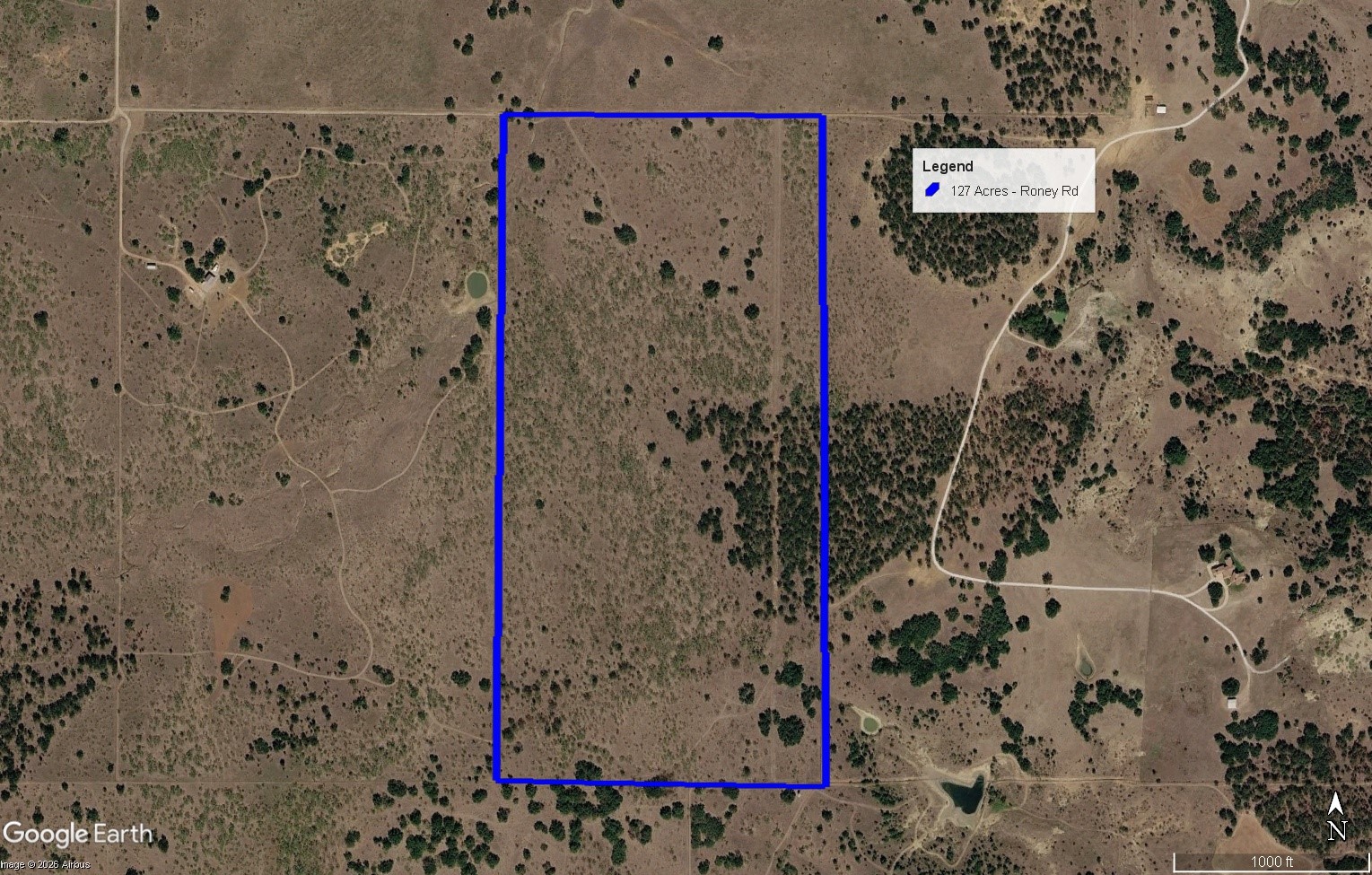 Tbd Roney Road Jacksboro TX 76458