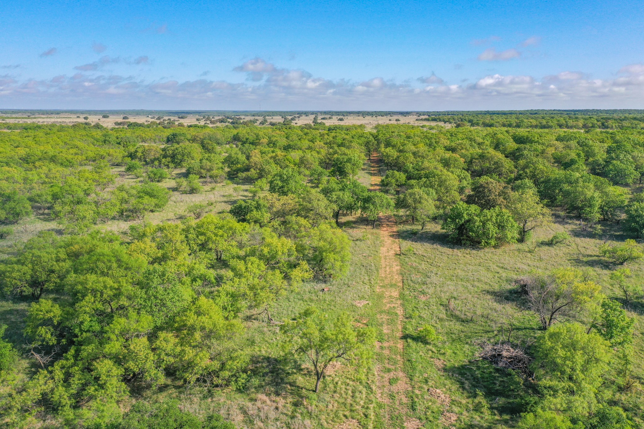Tbd Roney Road Jacksboro TX 76458